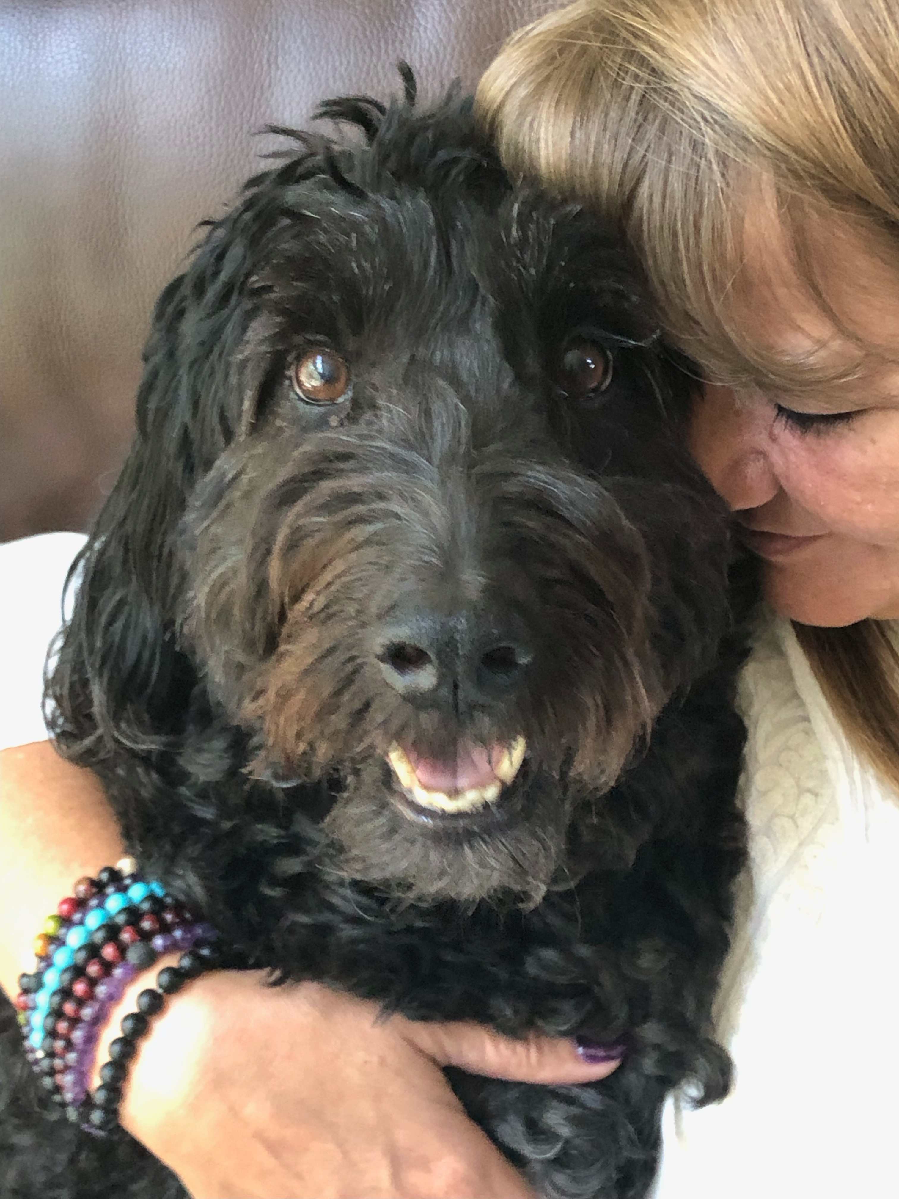 Donate to Reese's Cancer Medication Fund campaign photo, 4 of 7