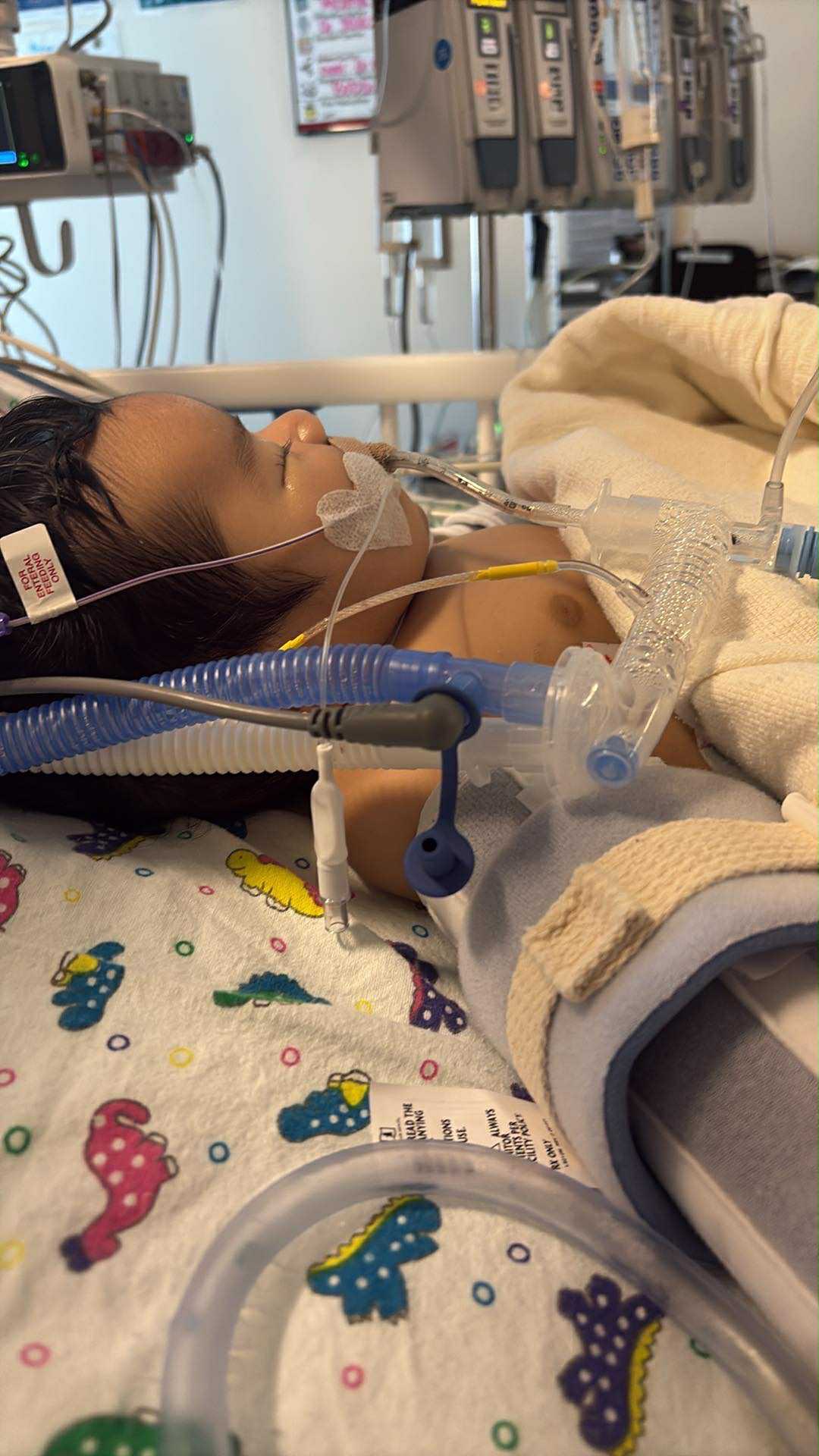 User-uploaded image 1