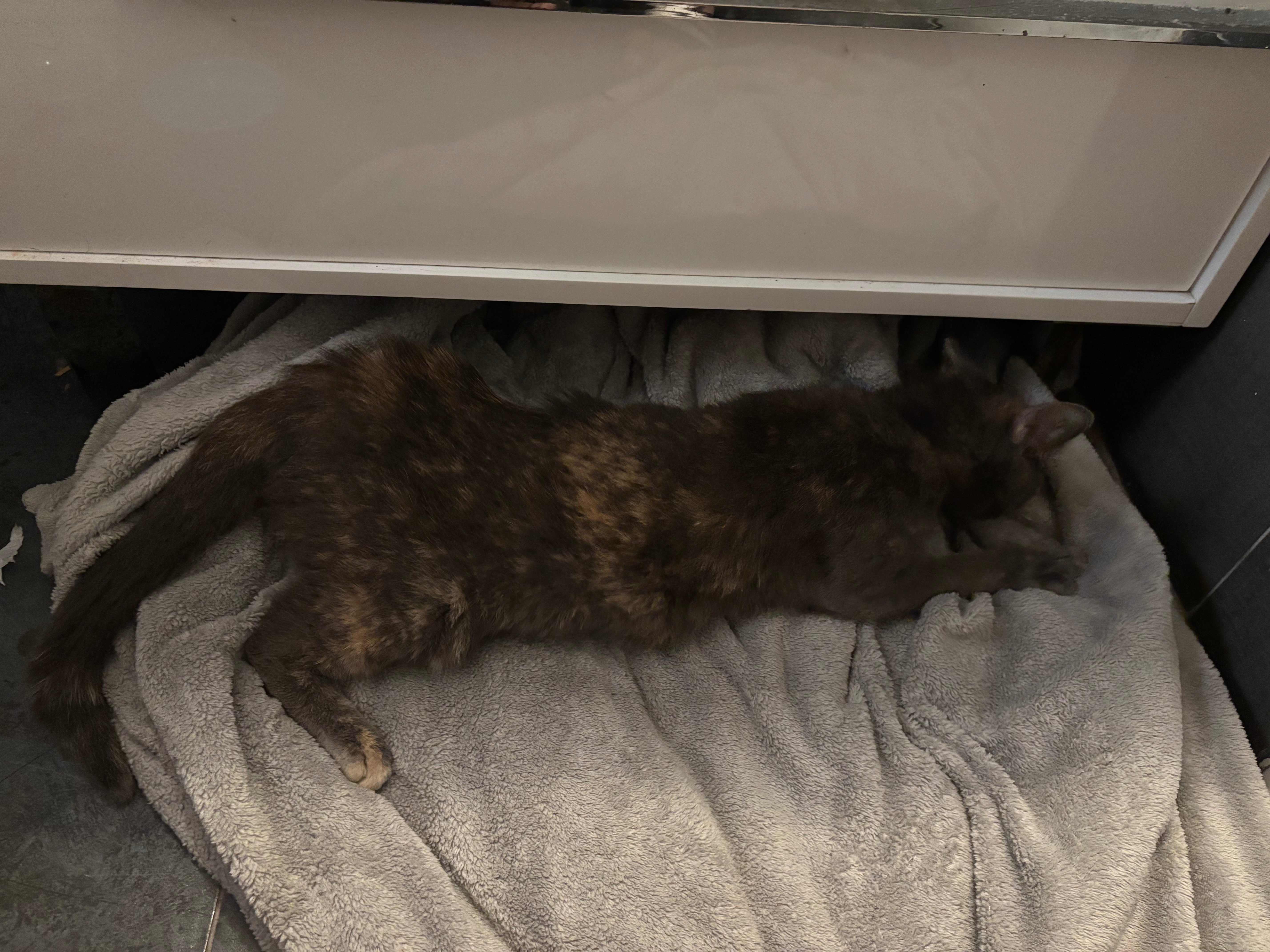 Cherry’s road to Recovery. campaign photo, 2 of 8