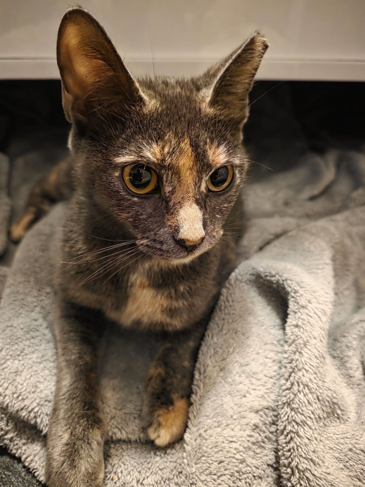 Cherry’s road to Recovery. campaign photo, 4 of 8