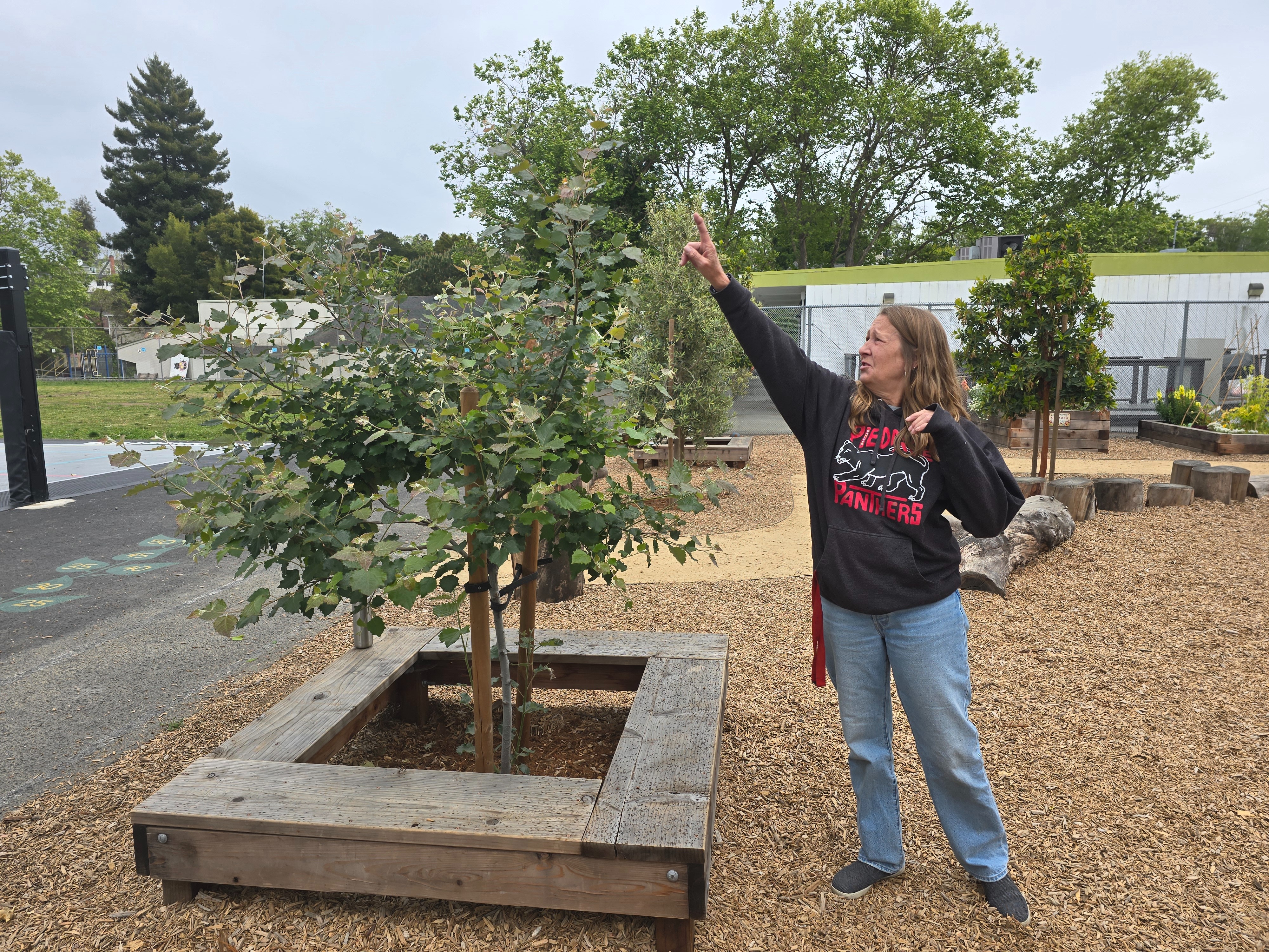 Help Carbocene Industries grow improved CO2 removal trees campaign photo, 2 of 8