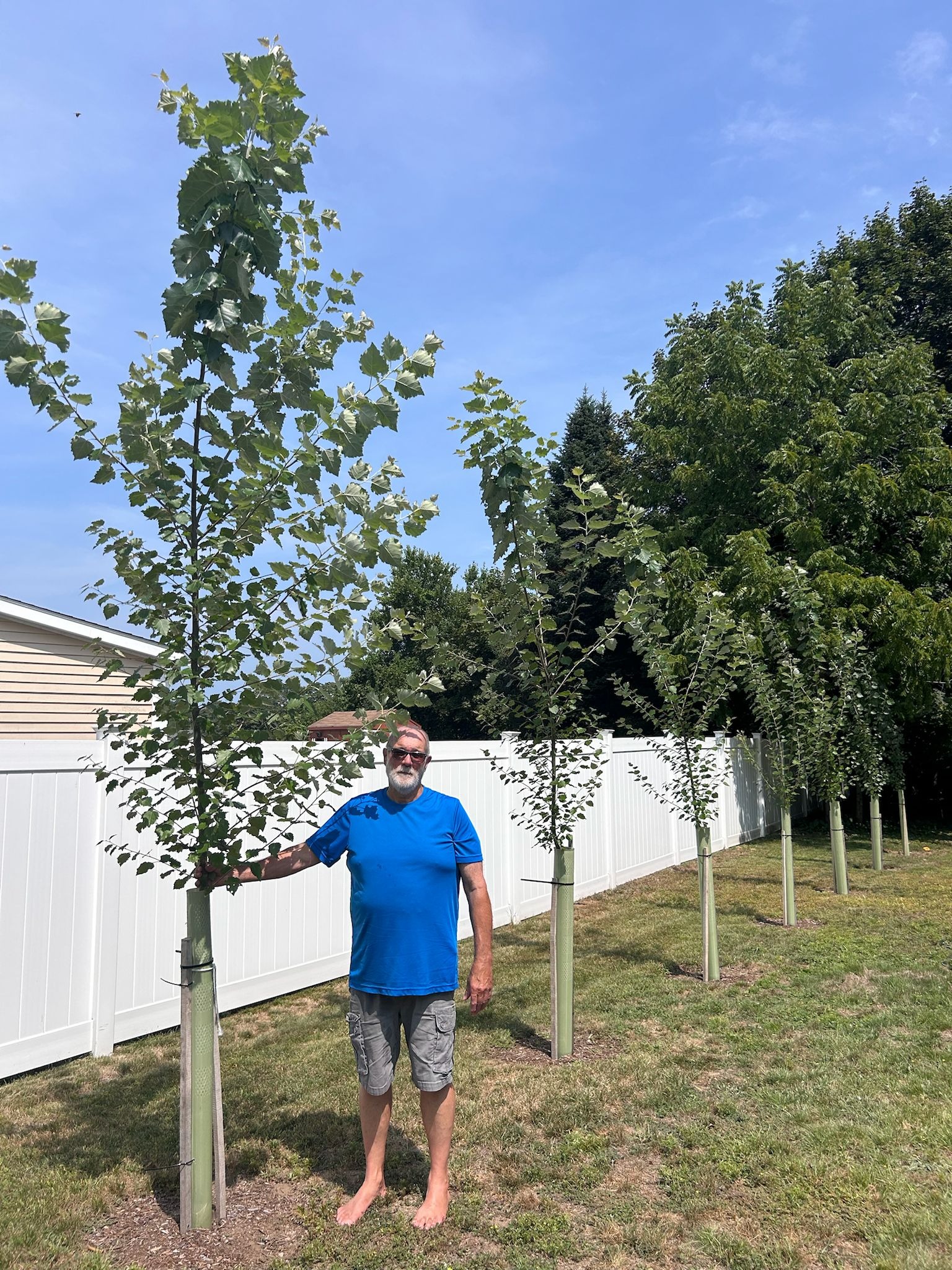 Help Carbocene Industries grow improved CO2 removal trees campaign photo, 4 of 8