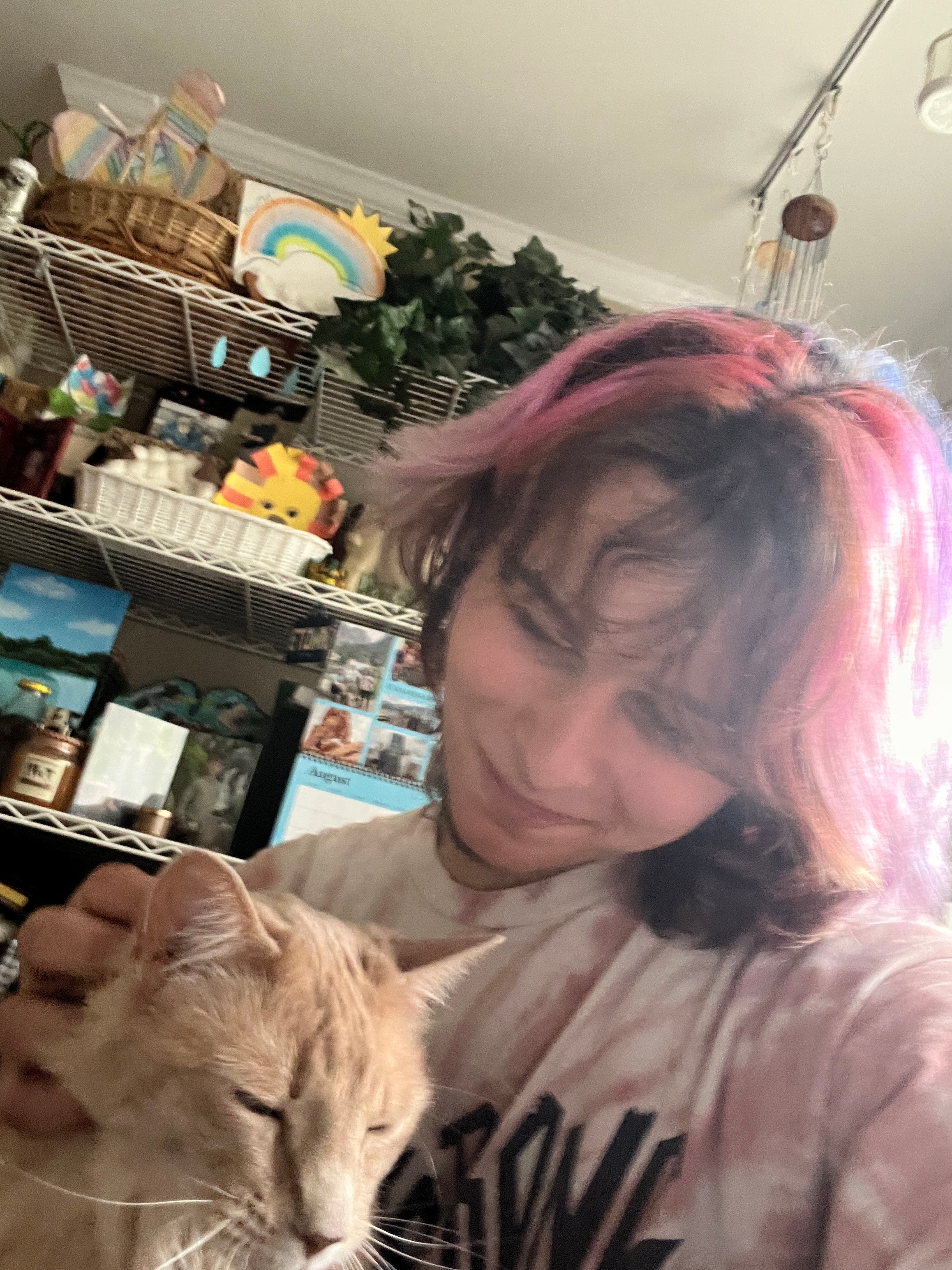 Donate to Liv's Surgery and Recovery Fund campaign photo, 4 of 8