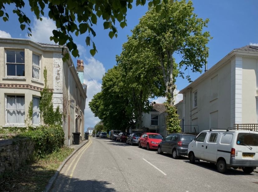 Save the Trelawney Road Trees! Support our legal challenge campaign photo, 2 of 4