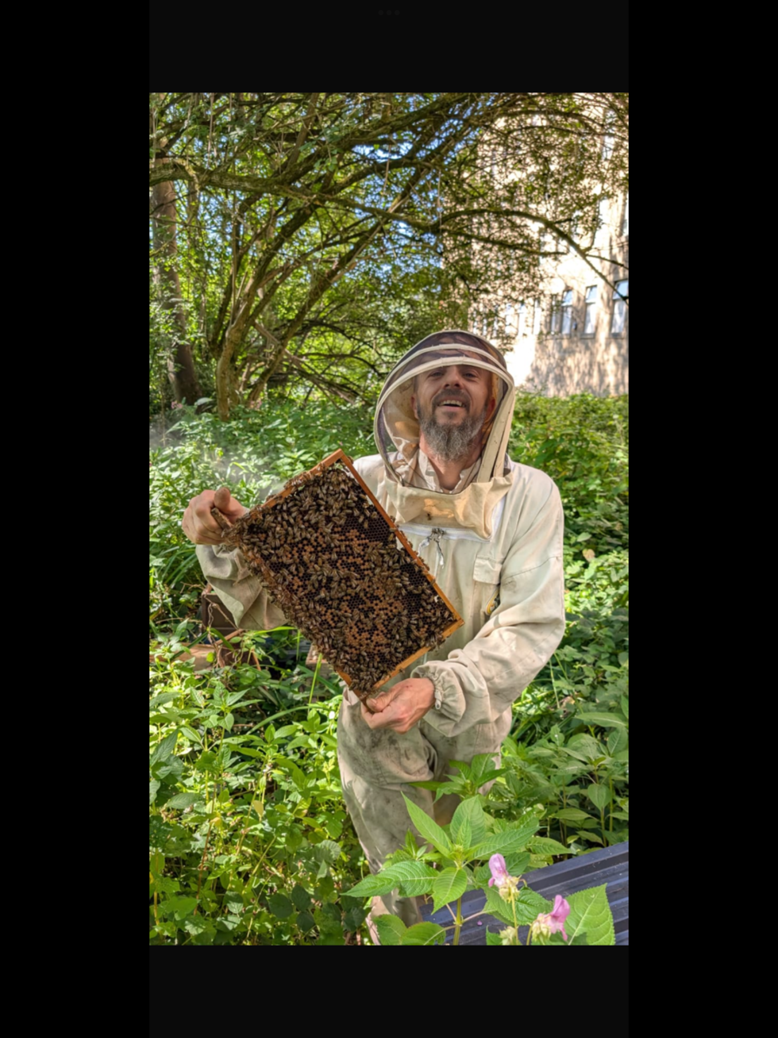 Please Help me Rebuild and secure my Beekeeping career. campaign photo, 6 of 7