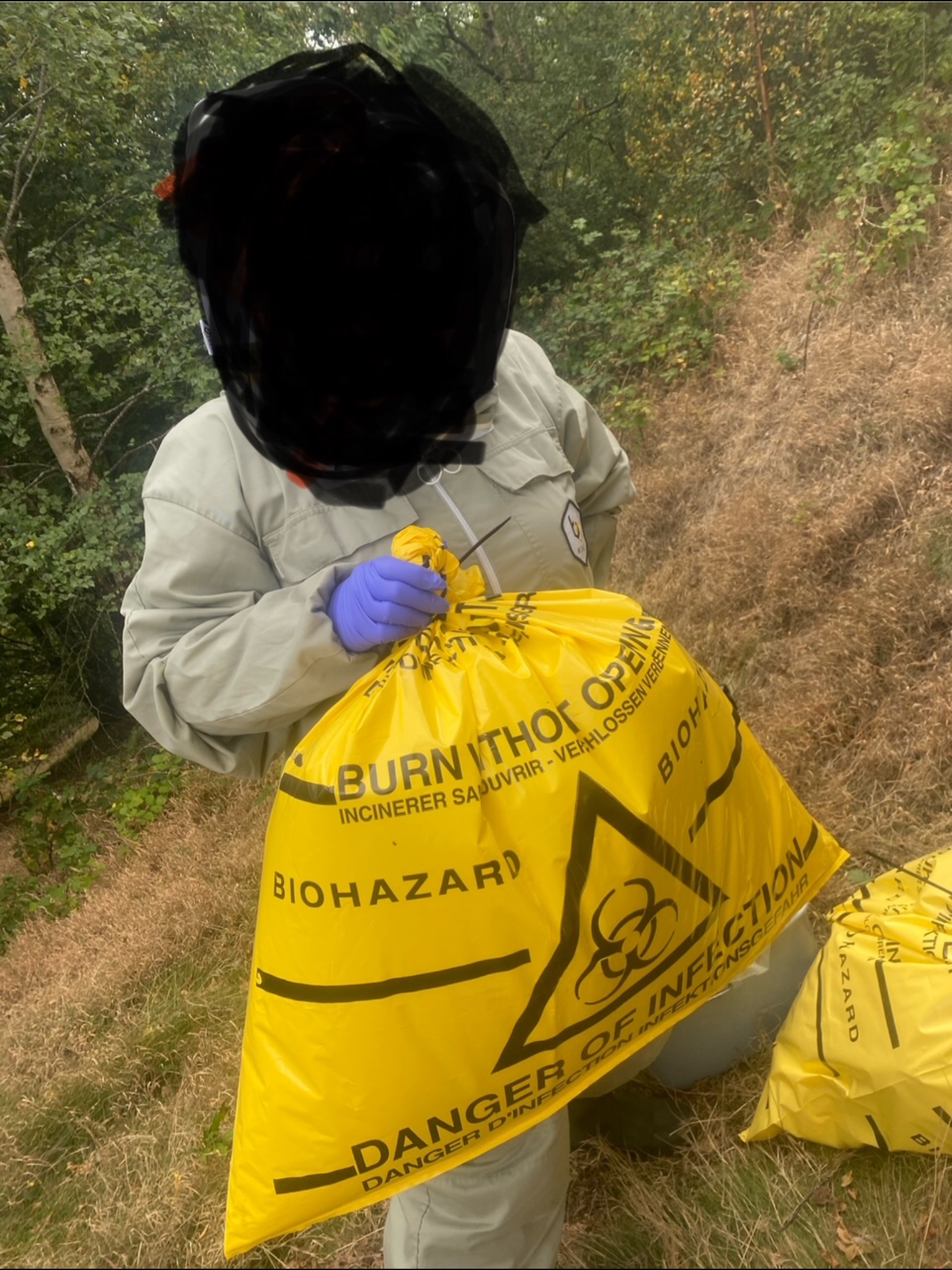 Please Help me Rebuild and secure my Beekeeping career. campaign photo, 4 of 7