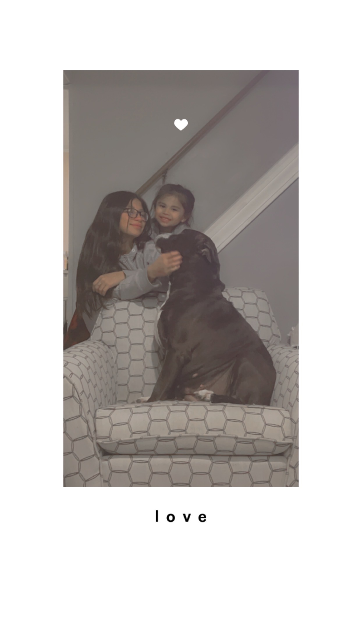 Help Us Save Juliet – Our Sweet Family Dog campaign photo, 5 of 8