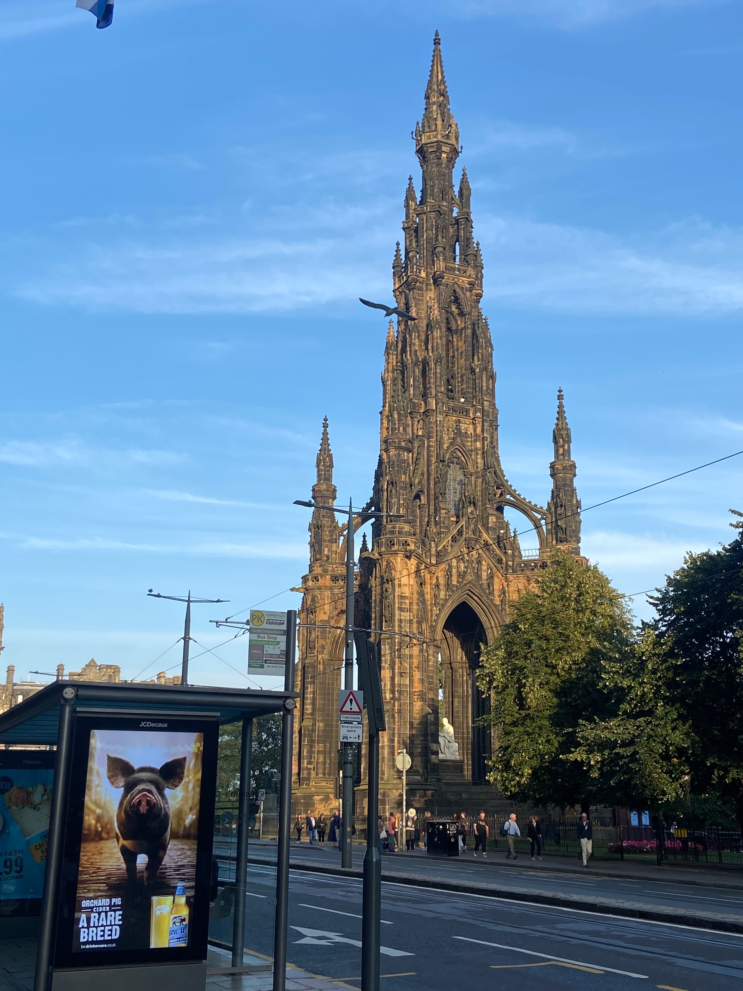 User-uploaded image 1