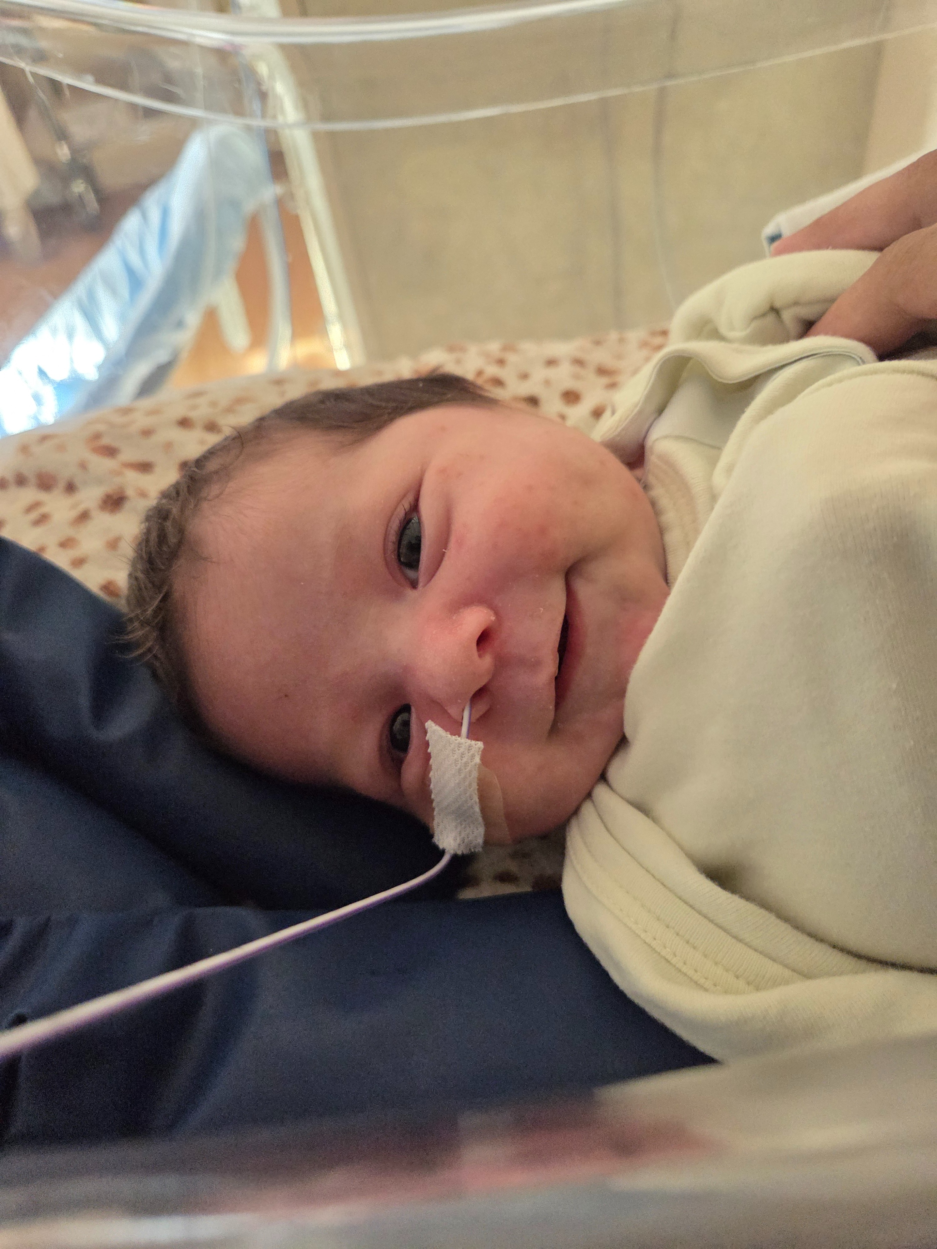 Support Grandson's NICU Journey & aftercare, living expenses campaign photo, 2 of 4