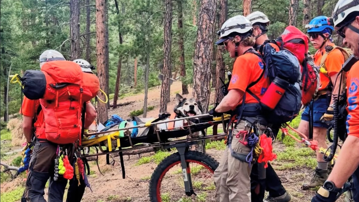 Supporting Whiskey’s Road to Recovery photo