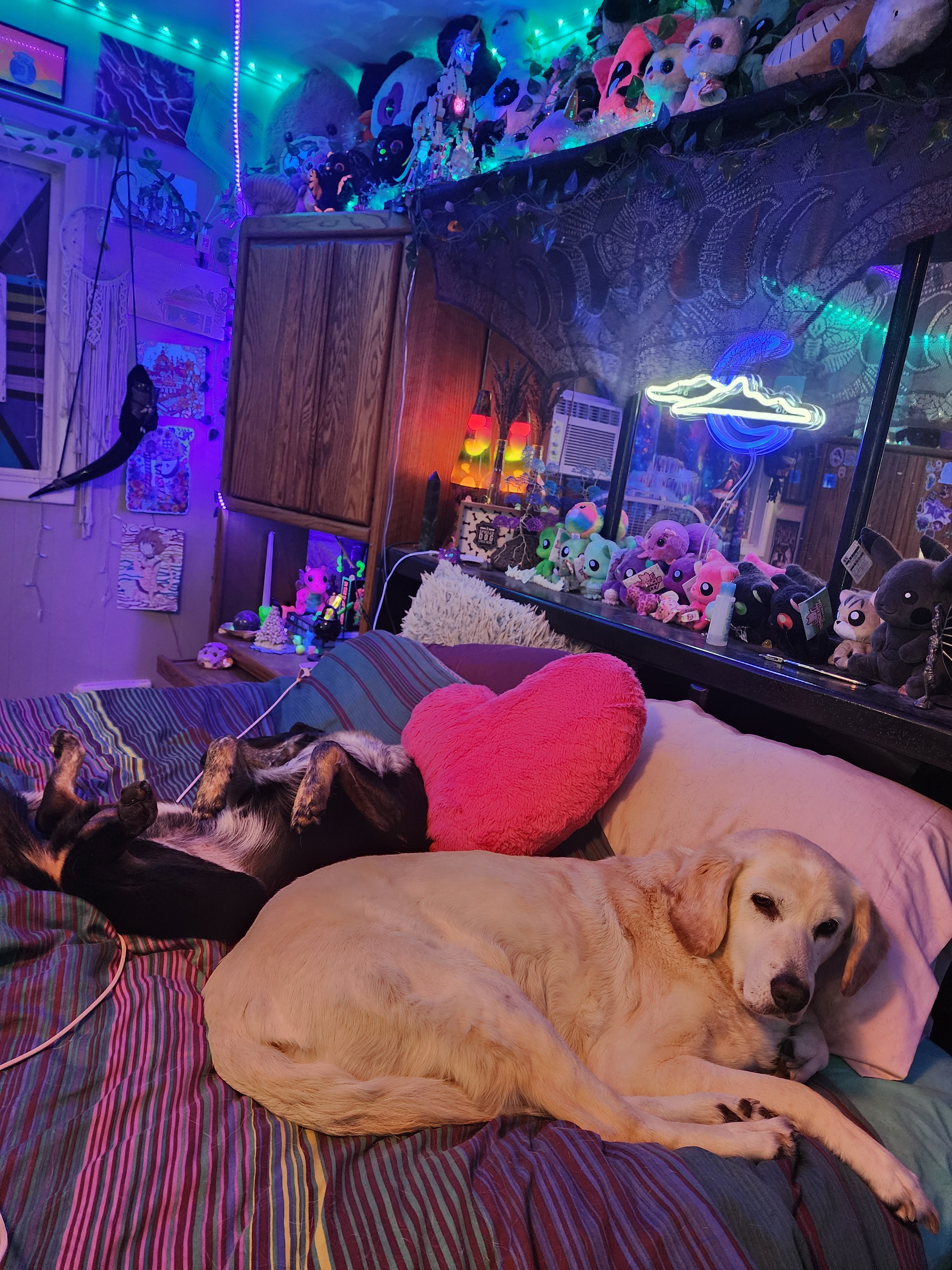 Give Athena More Time: Fund Her Care campaign photo, 6 of 7