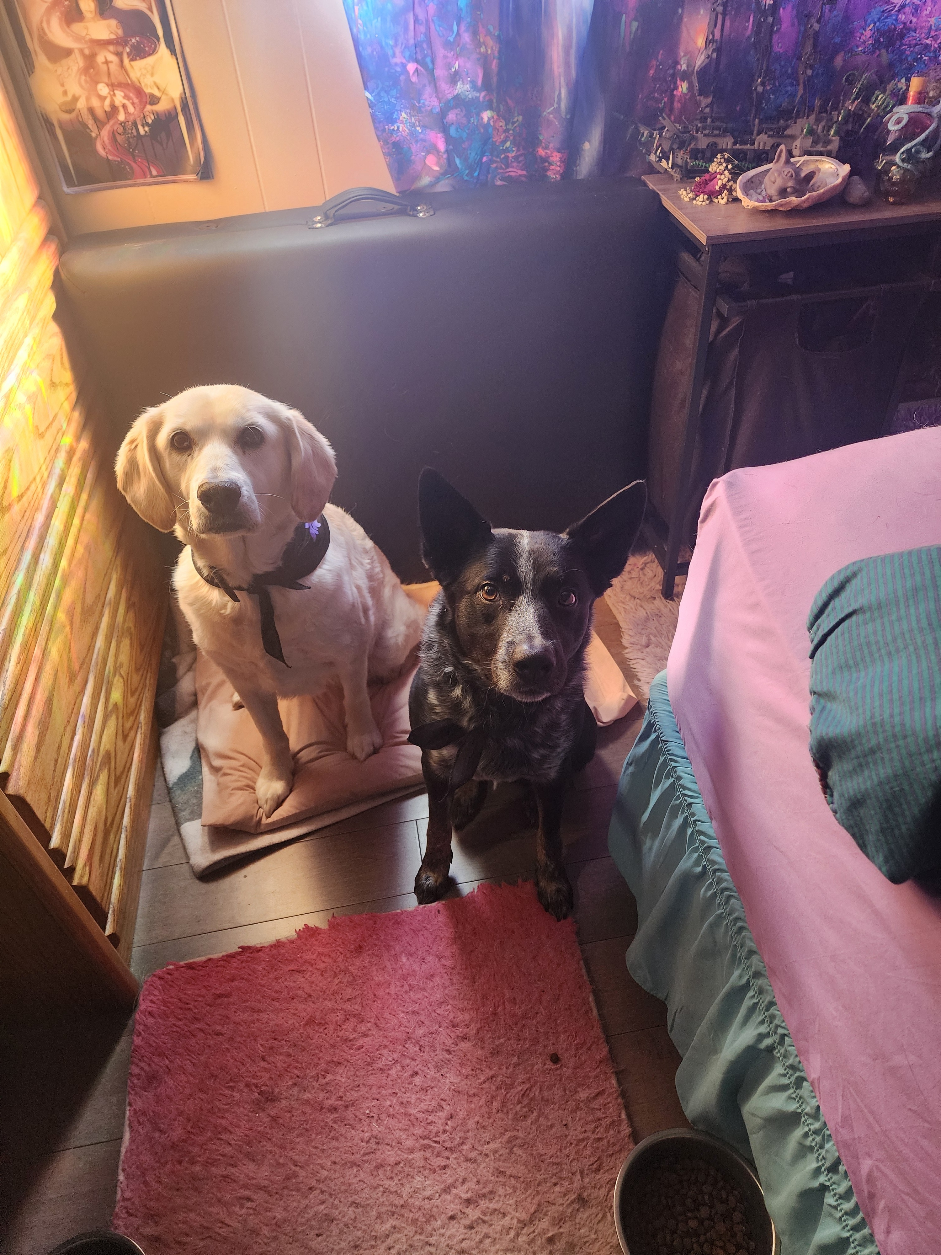 Give Athena More Time: Fund Her Care campaign photo, 4 of 7