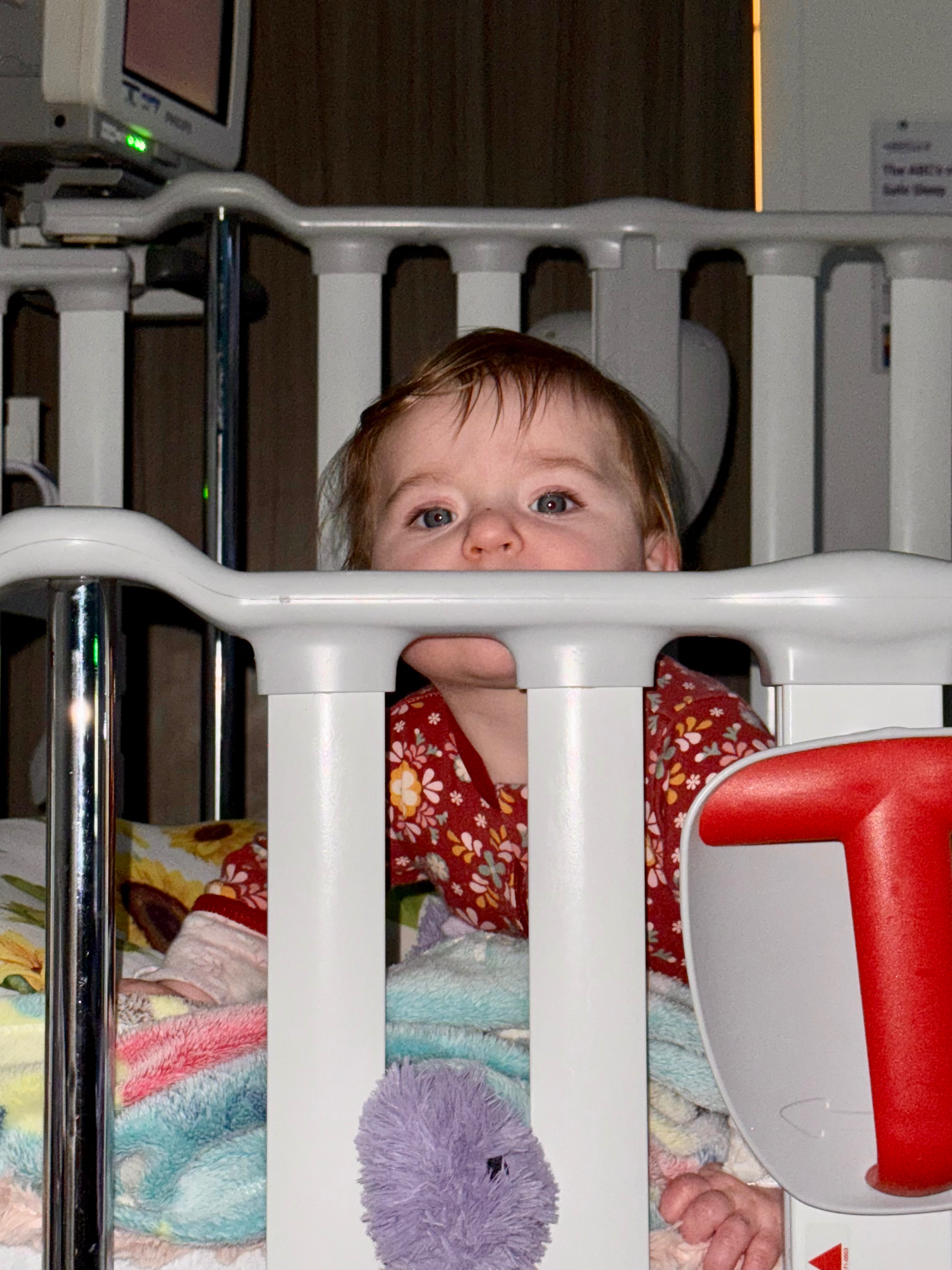 Donate to Magnolia's Medical and Family Needs campaign photo, 6 of 8