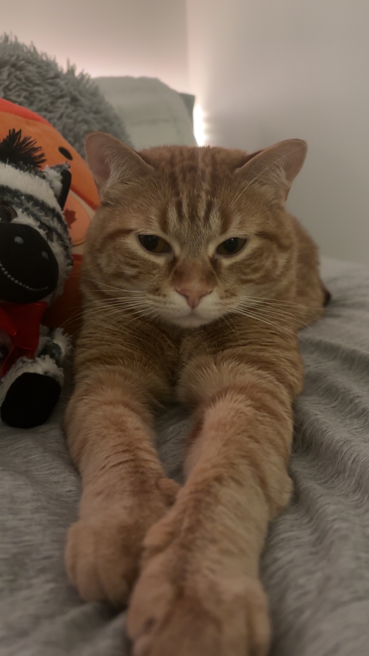 Help Save Chupete: Emergency Care for My Baby Boy campaign photo, 2 of 7