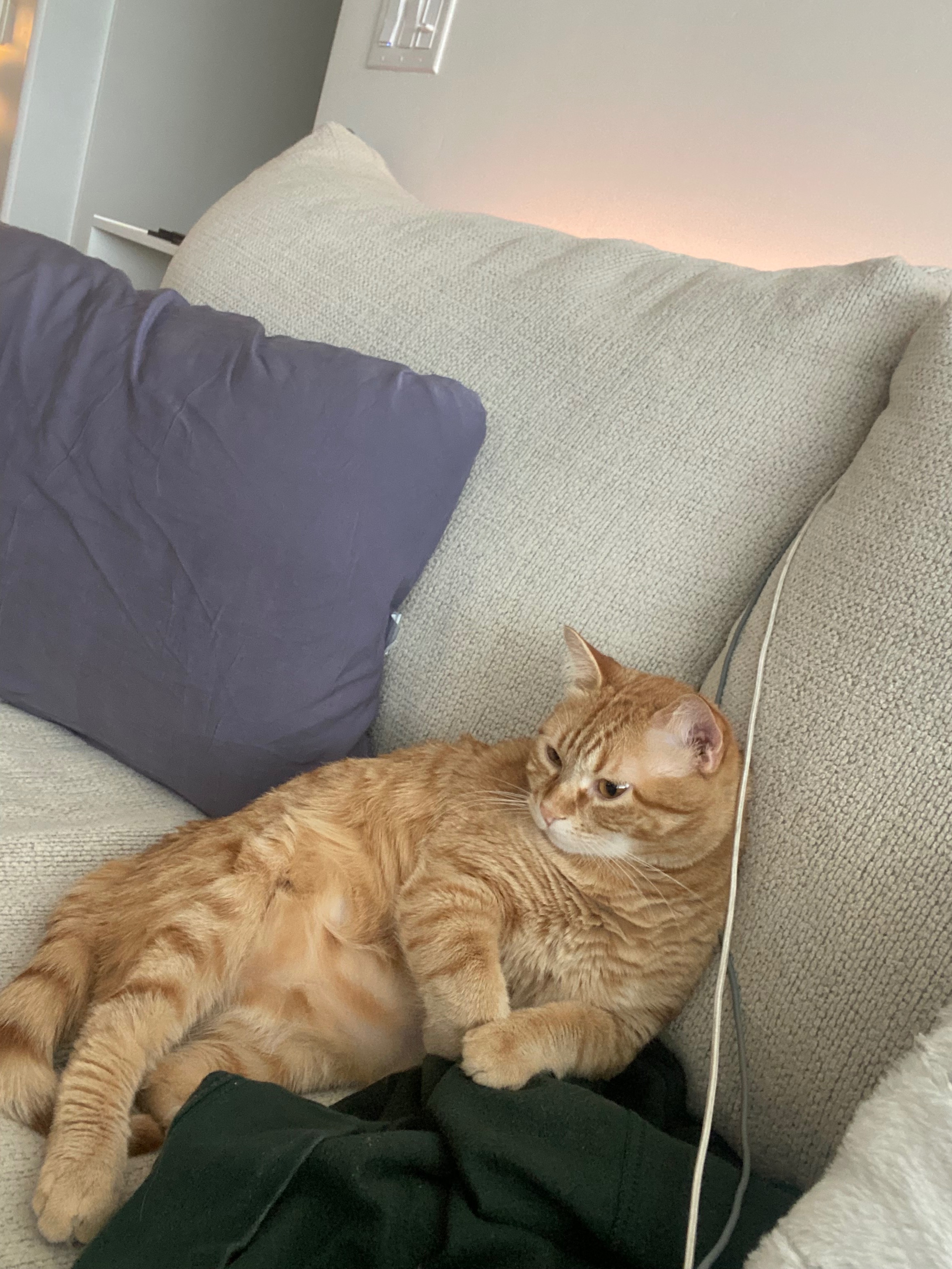 Help Save Chupete: Emergency Care for My Baby Boy campaign photo, 5 of 7