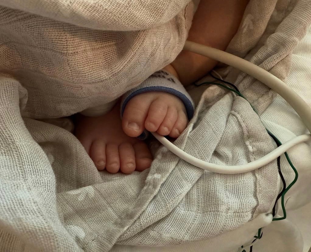 User-uploaded image 1