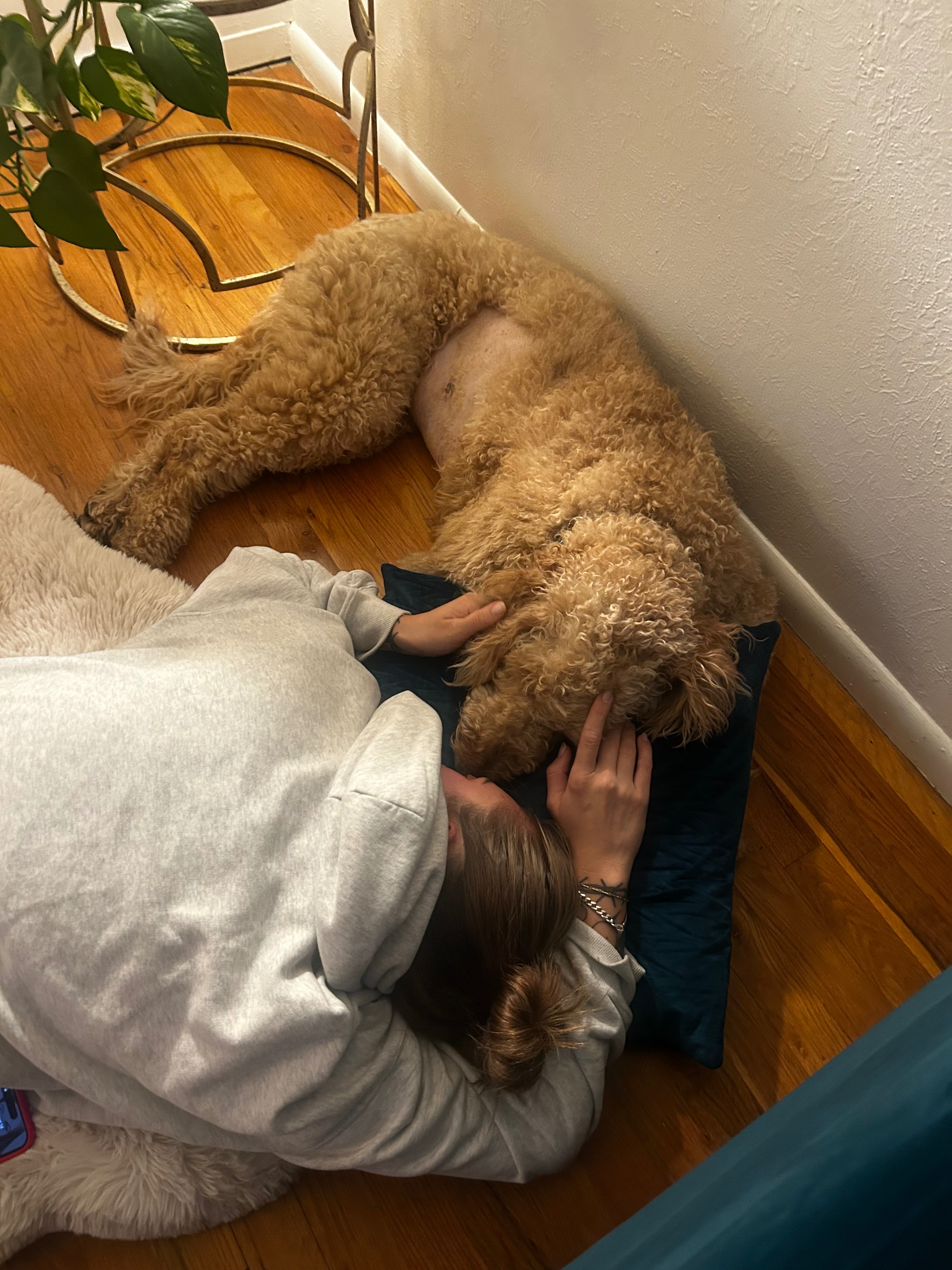Emme & Mazzy Need Our Support campaign photo, 5 of 6