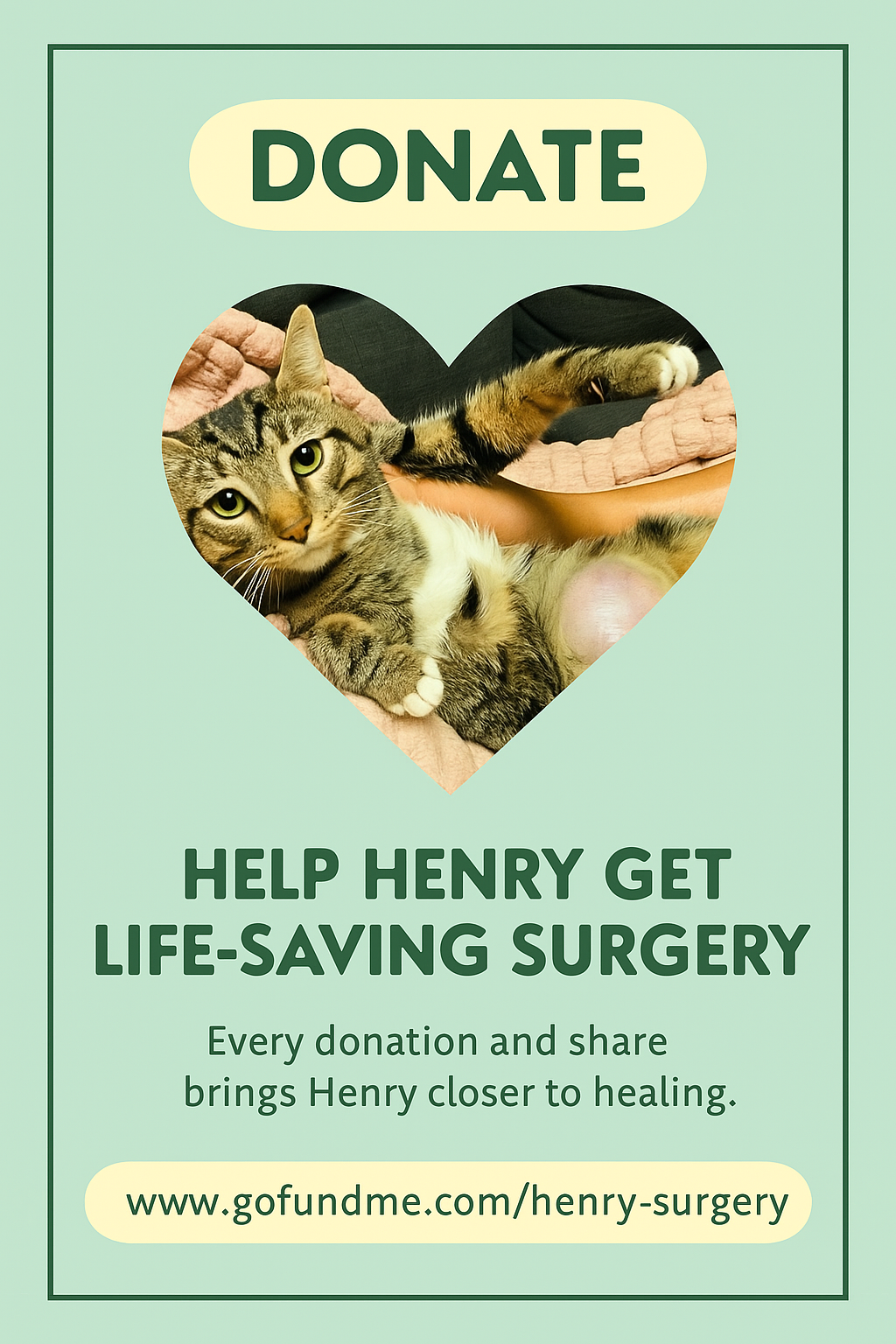 Help Henry Get Life-Saving Surgery campaign photo, 2 of 4