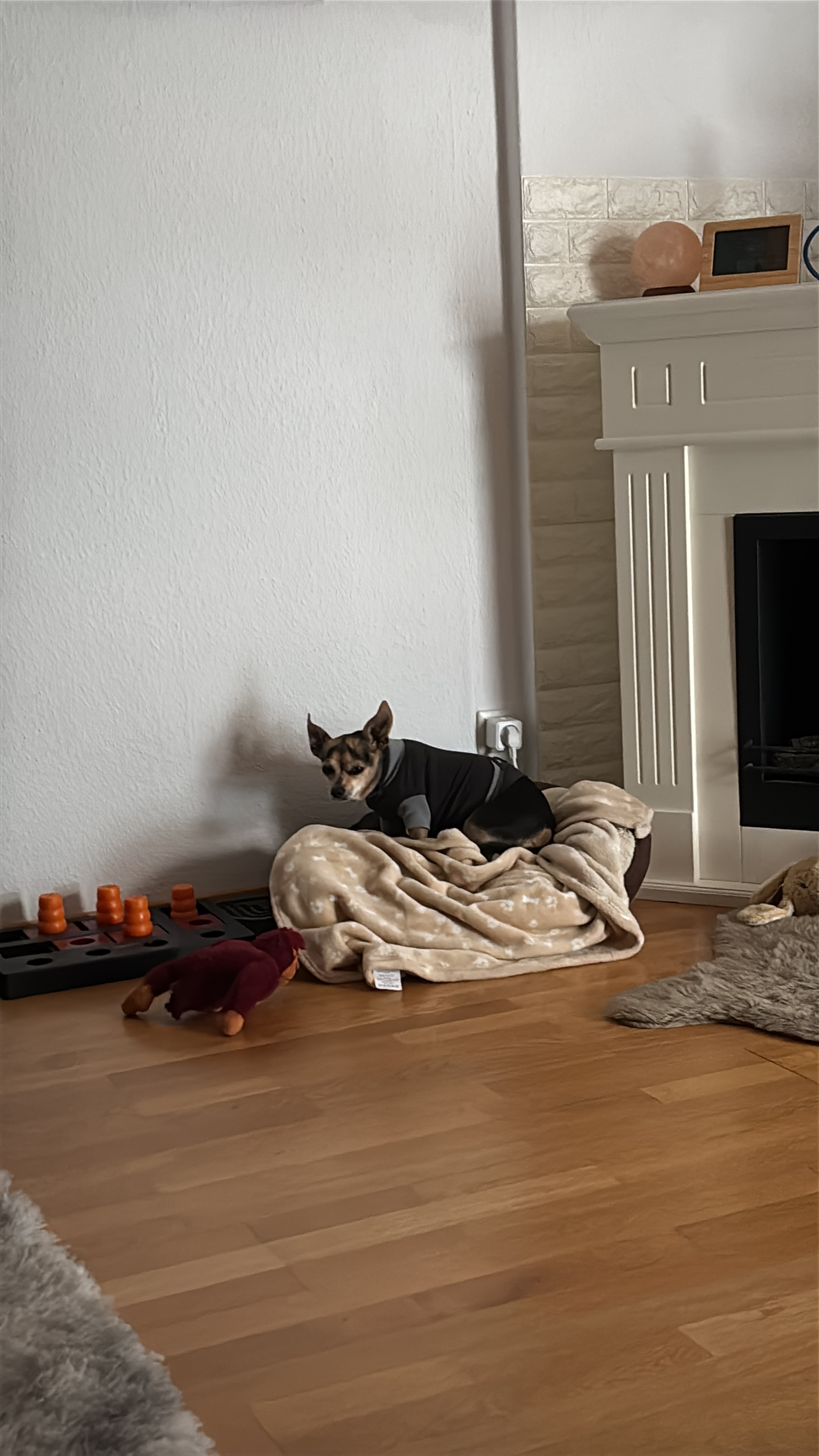 Kira mein kleines Lebenswunder dringende OP campaign photo, 2 of 8