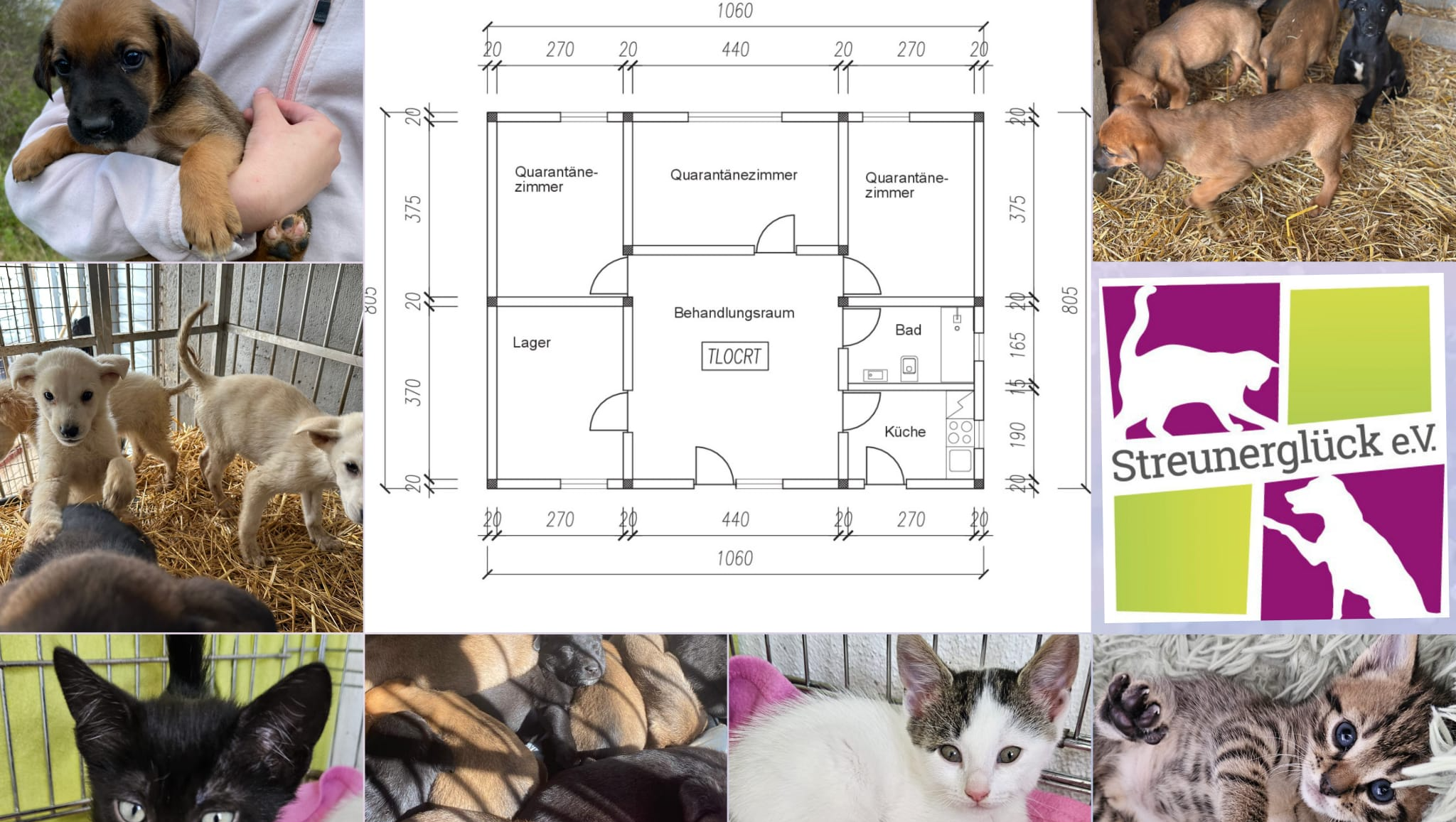 Neubau Quarantänestation mit Ambulanz für unser Streunerdorf pinned link photo