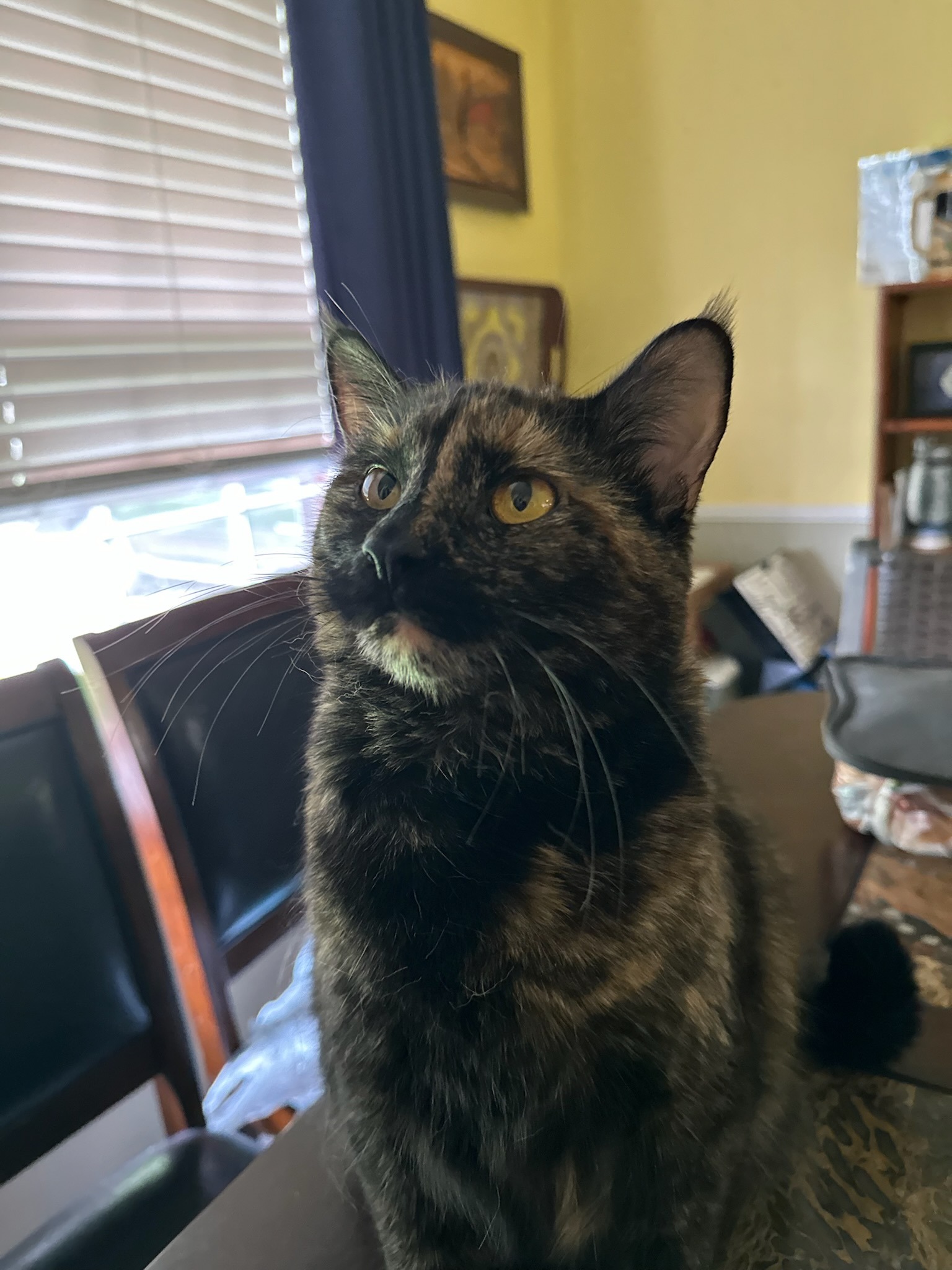 Help Sabrina Walk Again: Support Her Recovery campaign photo, 4 of 8