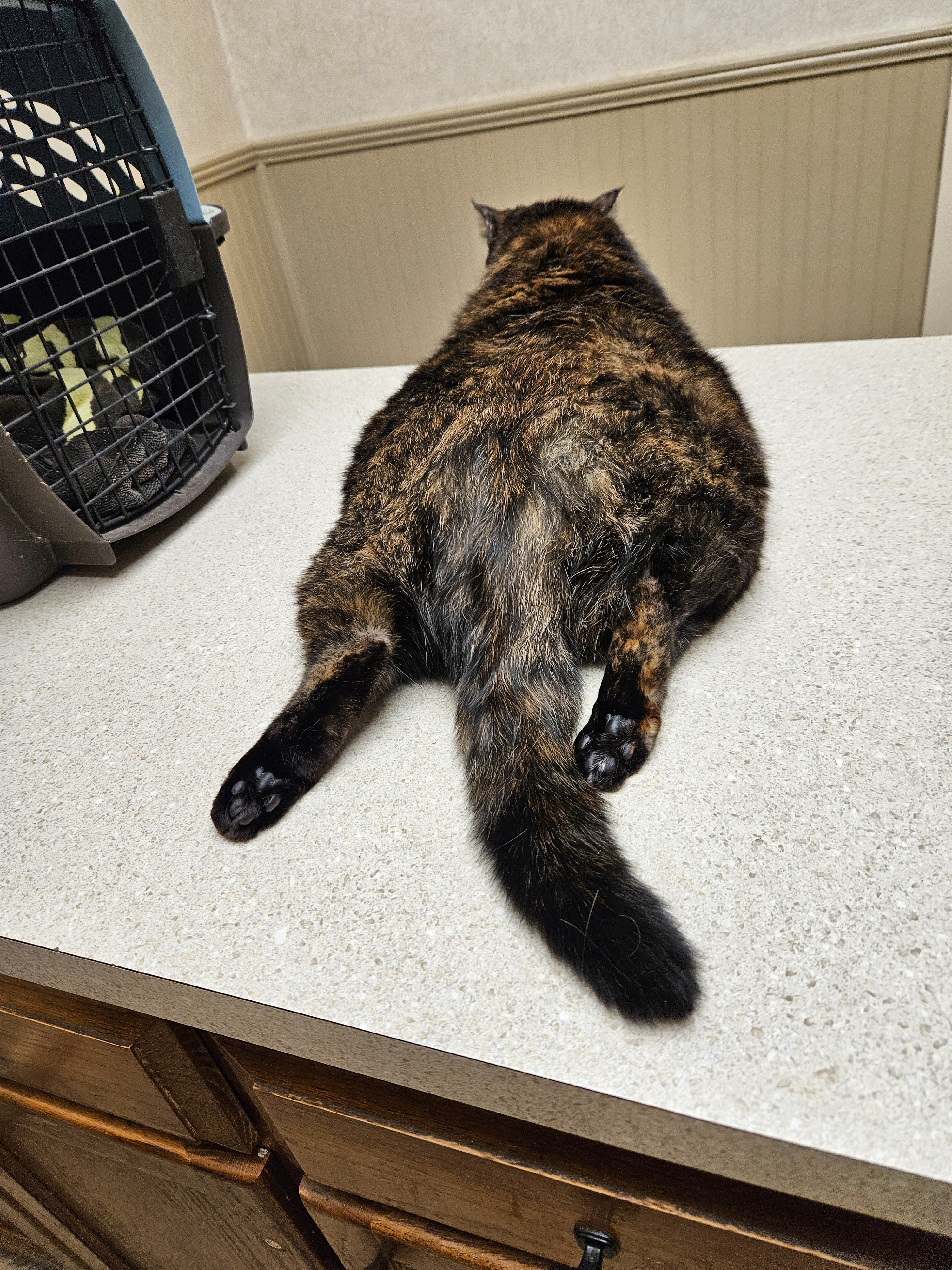 Help Sabrina Walk Again: Support Her Recovery campaign photo, 6 of 8