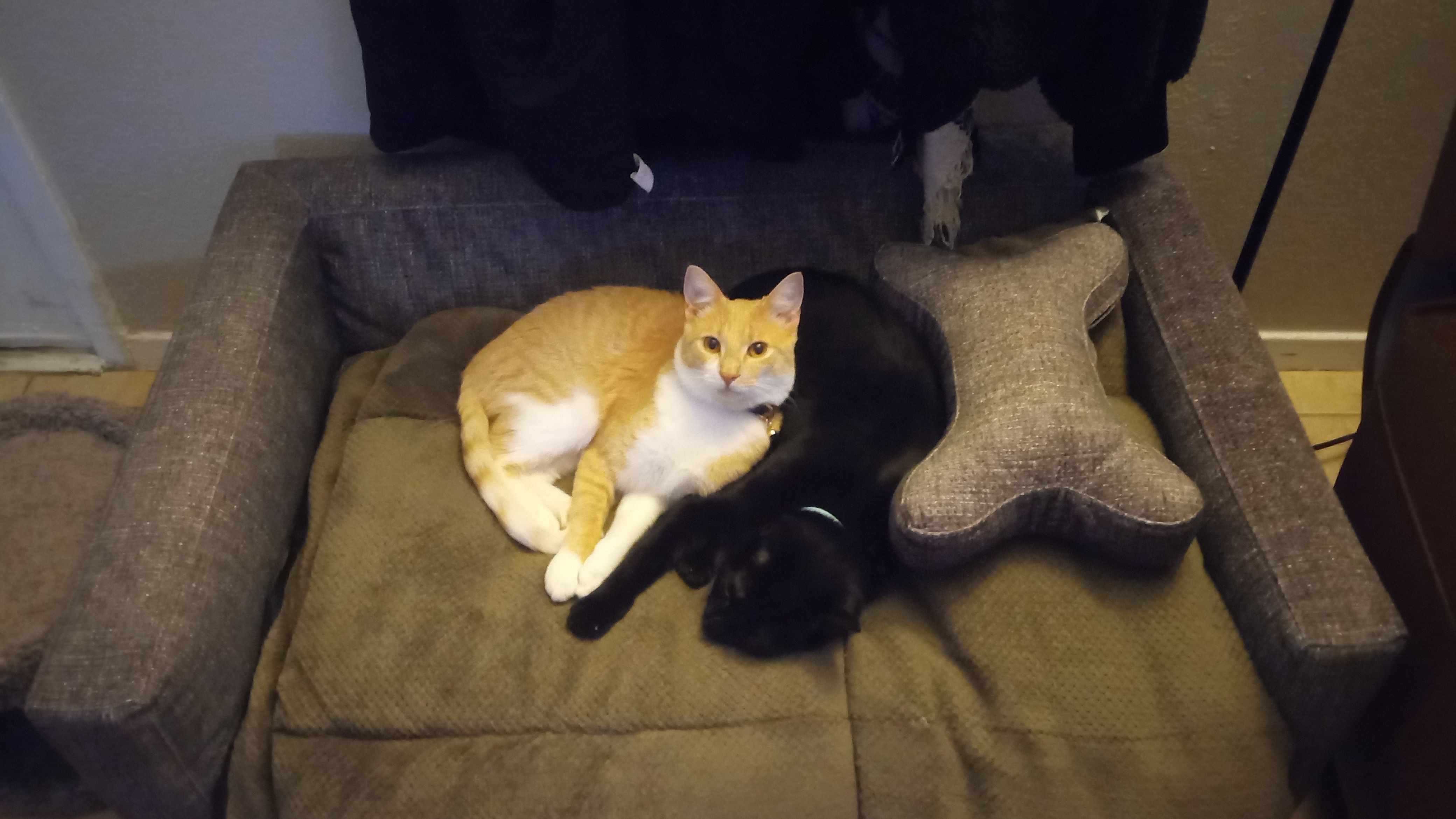 User-uploaded image 1