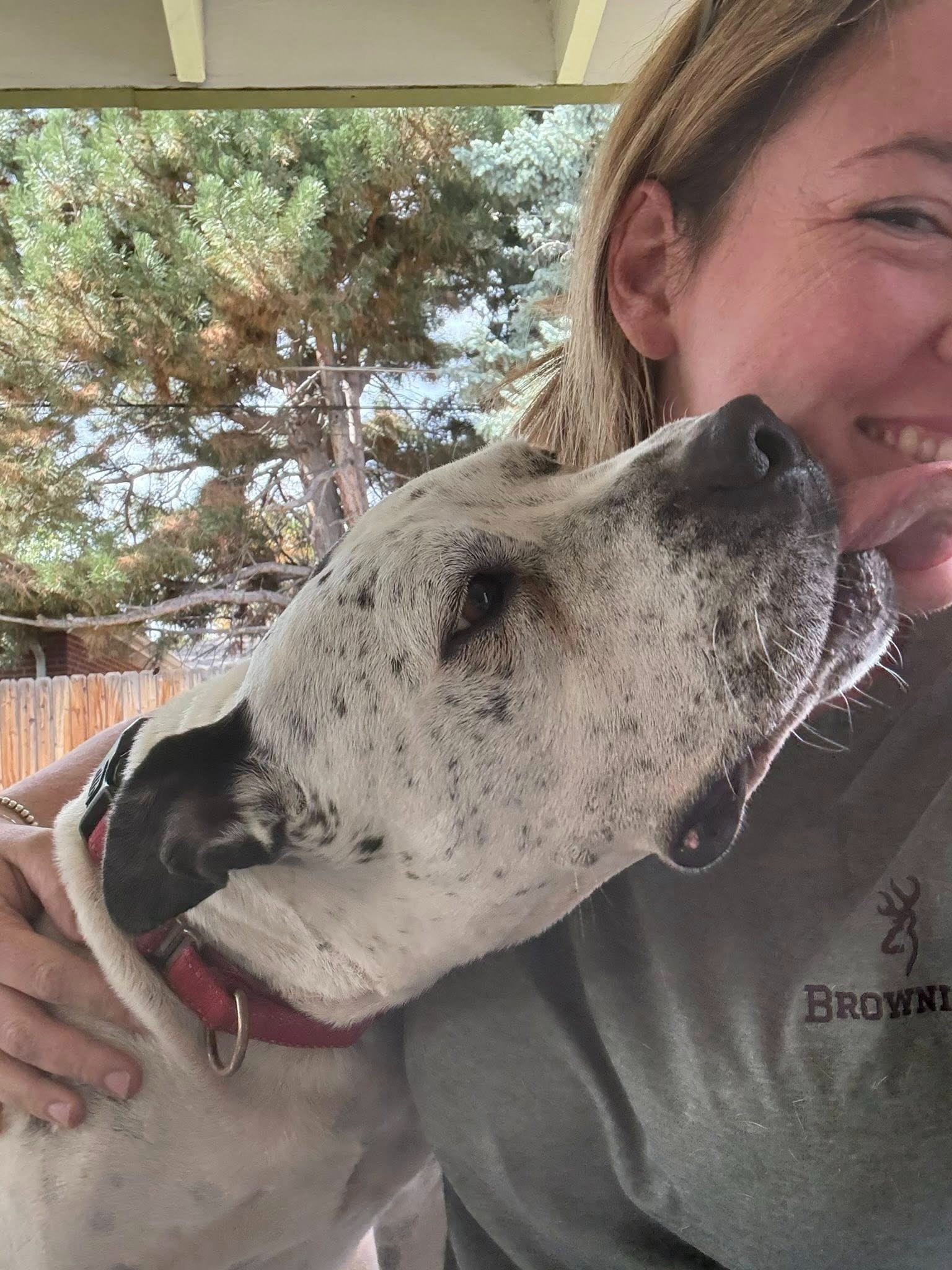 Help Harvey Walk Again: Urgent Vet Care Needed campaign photo, 6 of 8