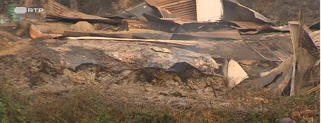 User-uploaded image 1