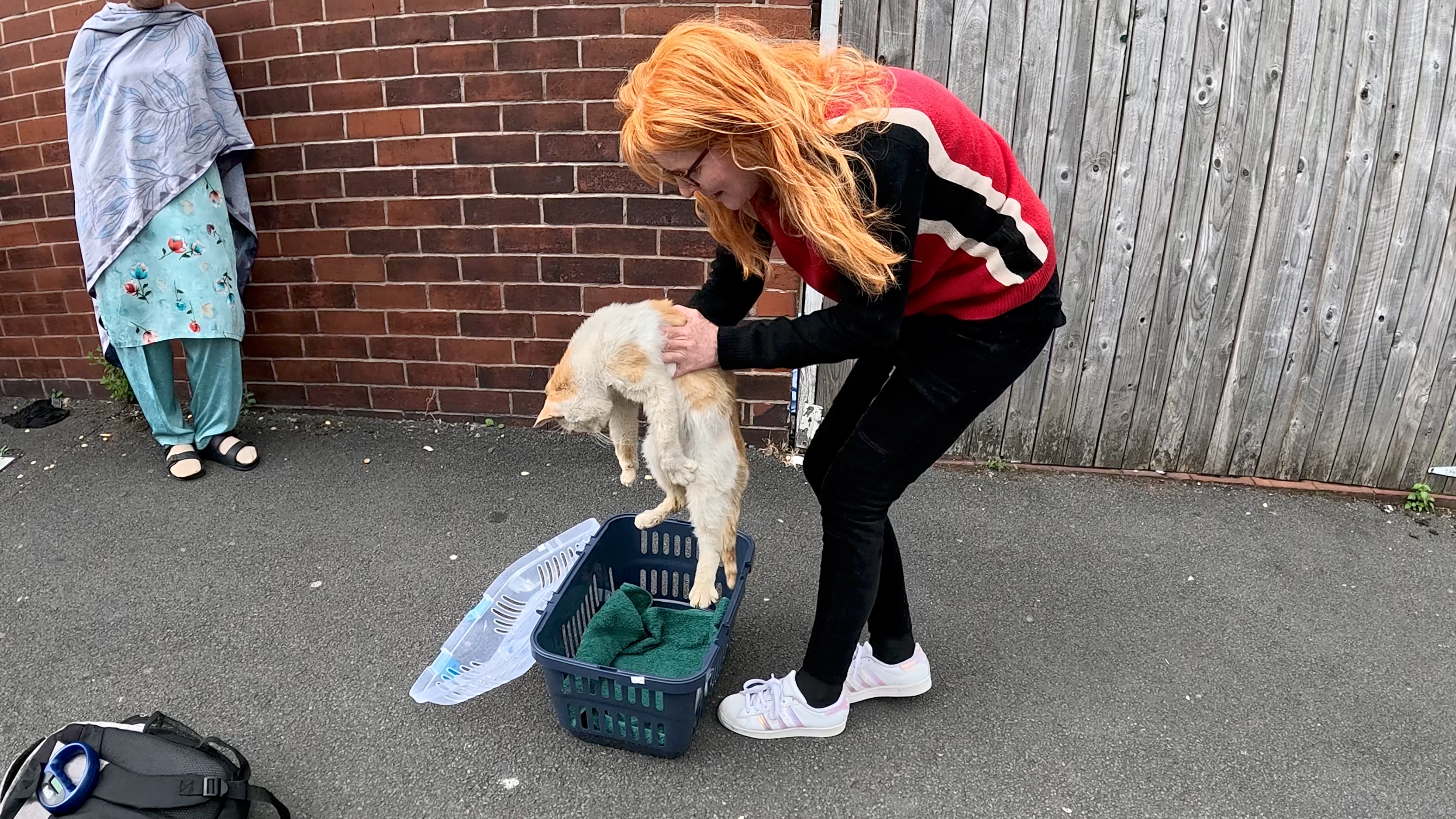 User-uploaded image 1