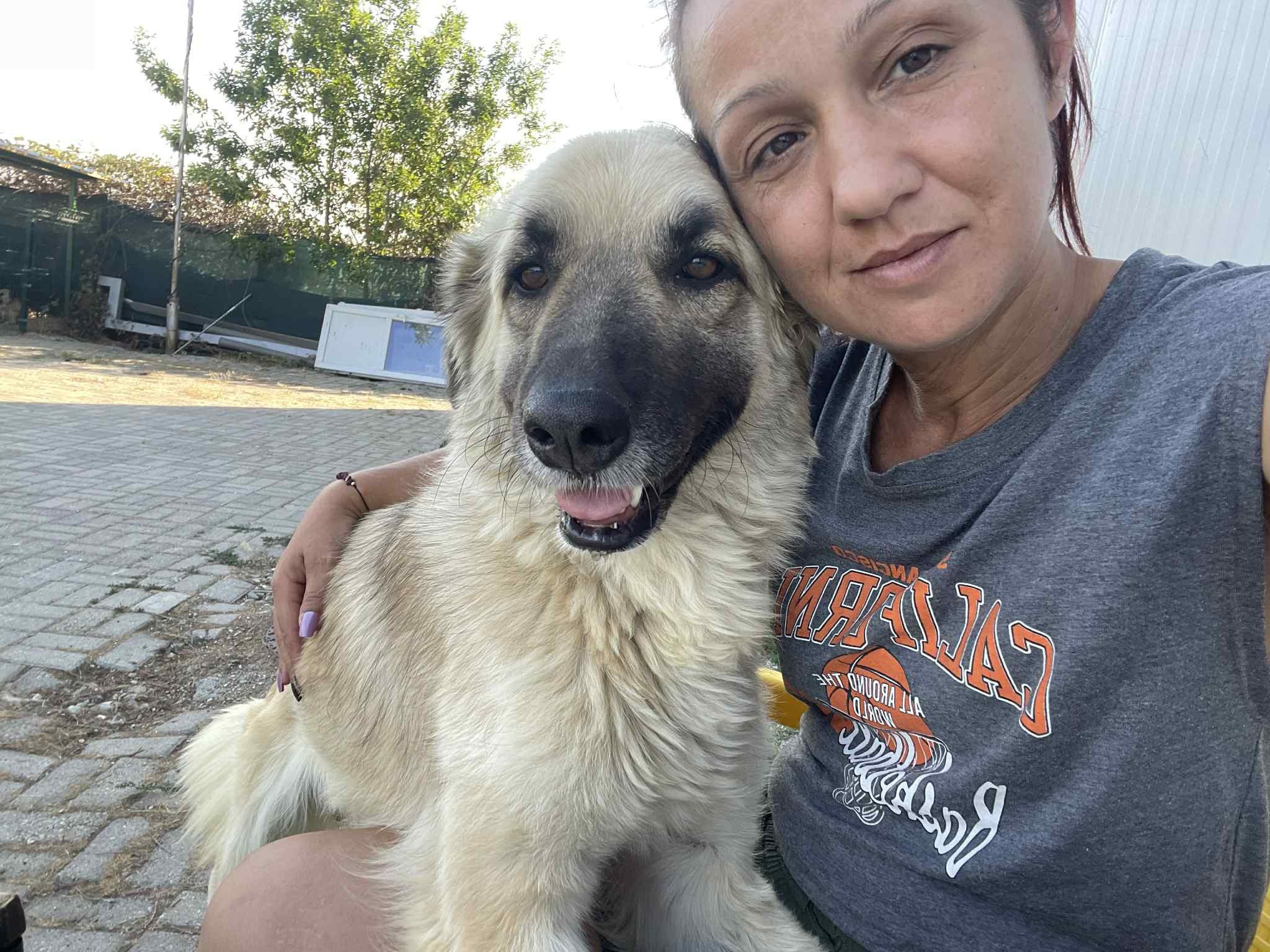 MATERIALS TO BUILD 15 KENNELS FOR DOGS IN MACEDONIA campaign photo, 5 of 8