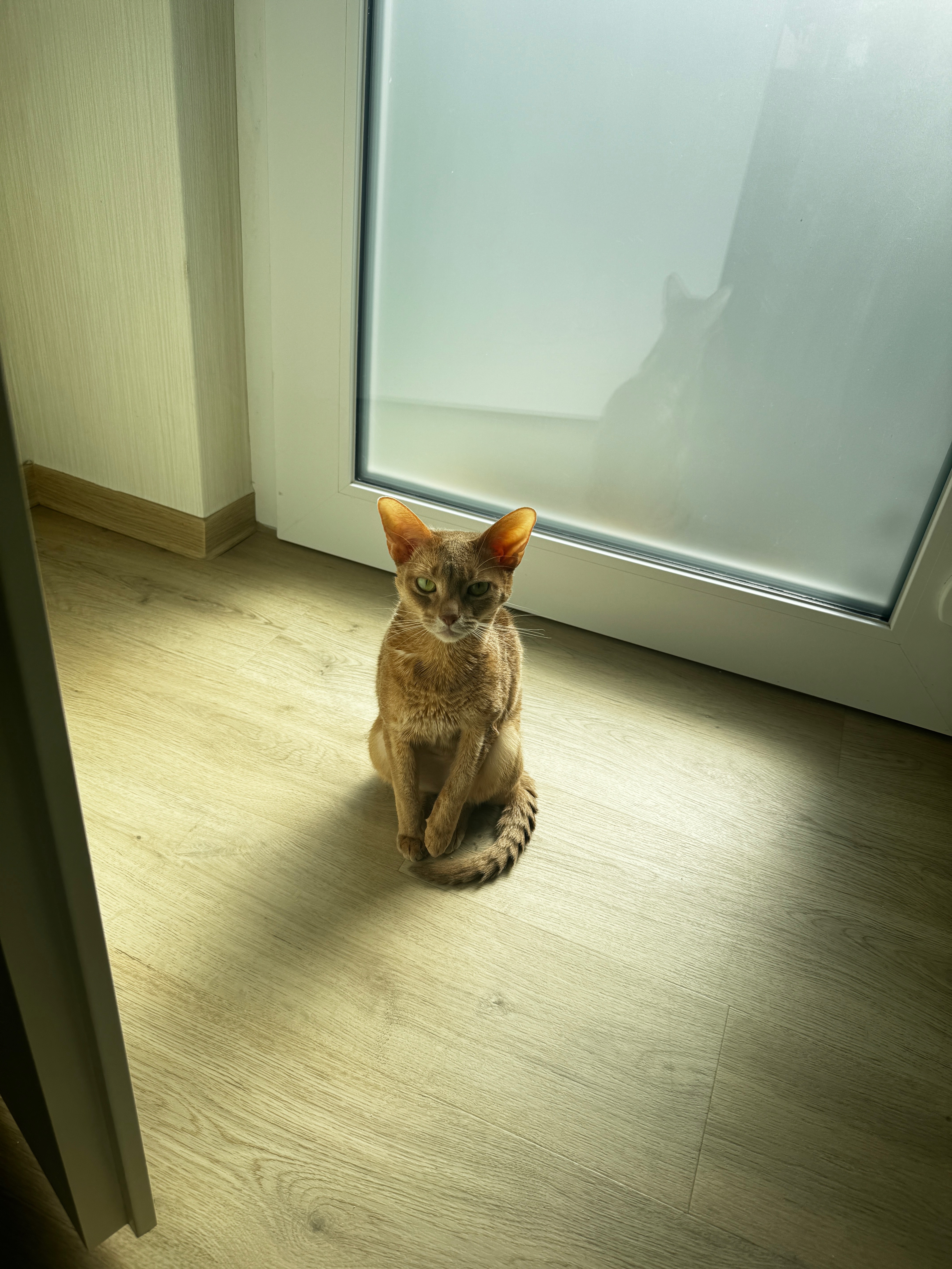 Hilfe für unsere kleine Yuna - rettet ihr Leben! campaign photo, 5 of 8
