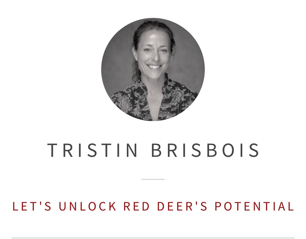 Tristin Brisbois for RD City Council Campaign campaign photo, 2 of 5