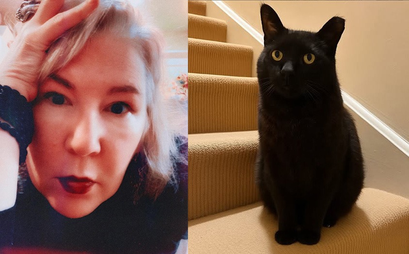 User-uploaded image 1