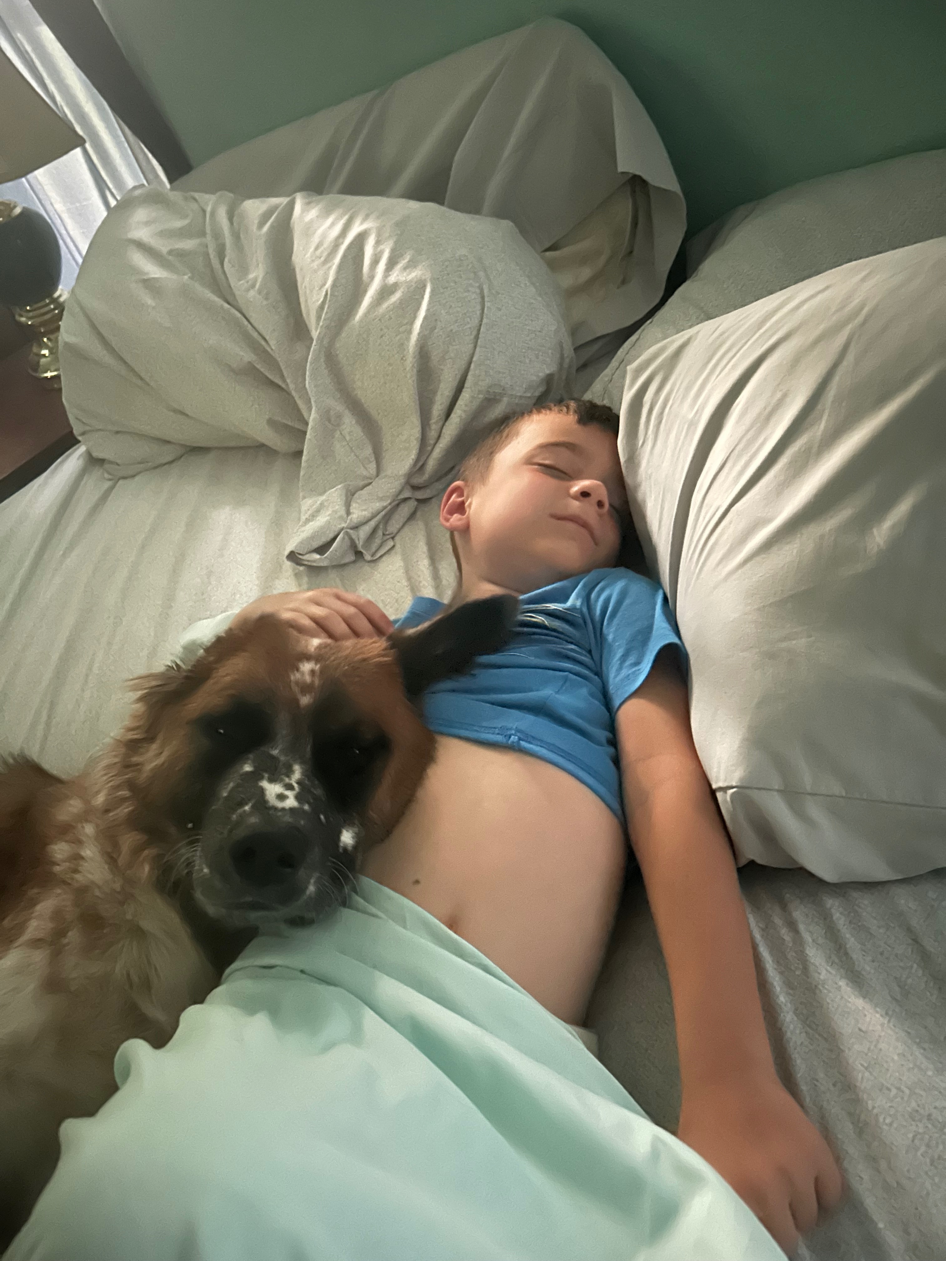 Help Me Get Benji His Surgery campaign photo, 6 of 8