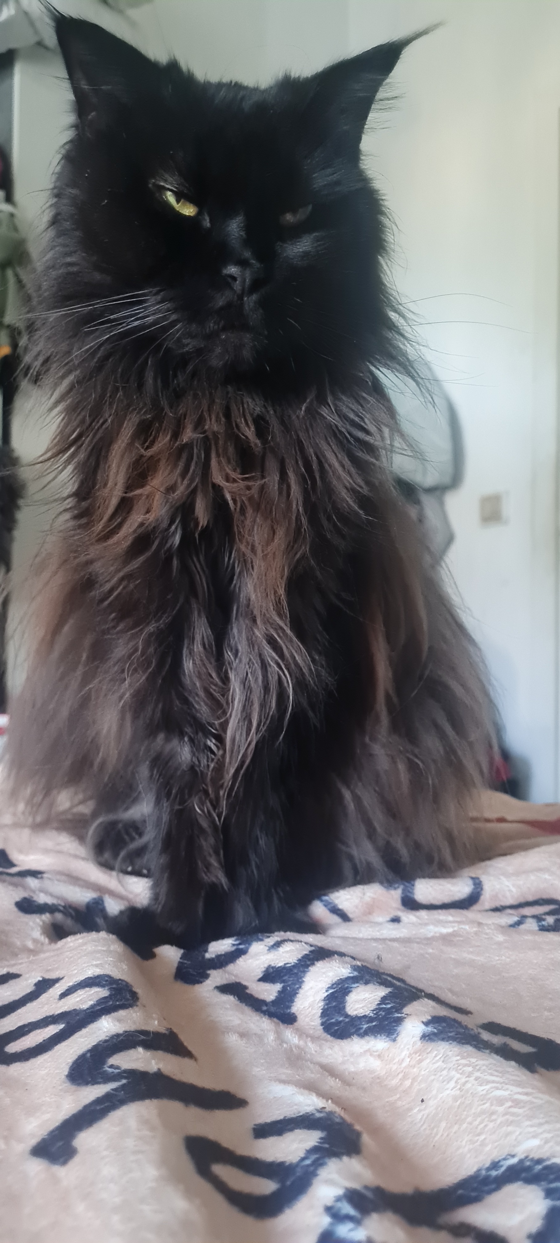 User-uploaded image 1