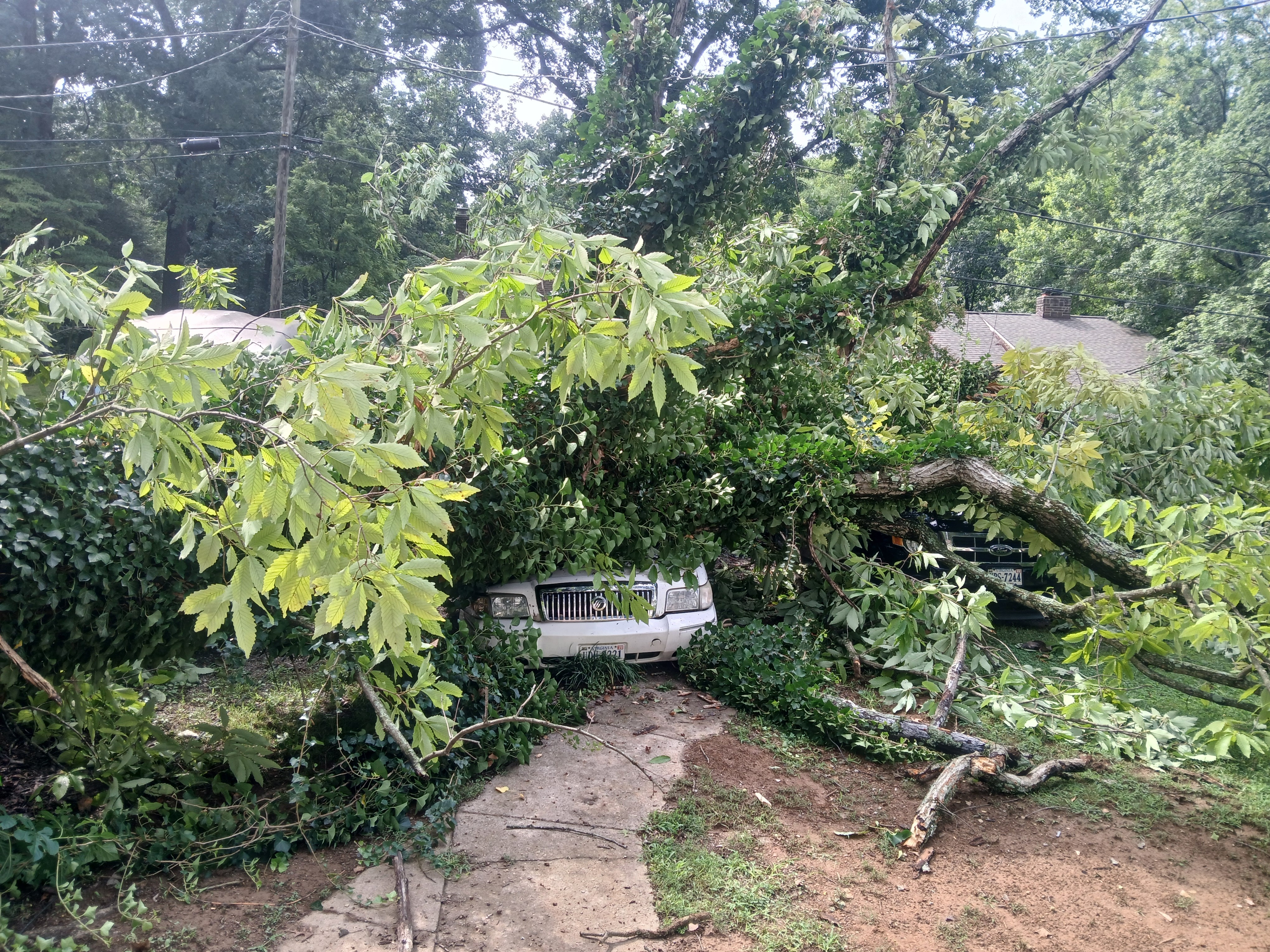 Donate to Help Us Recover from Vehicle Loss campaign photo, 7 of 8