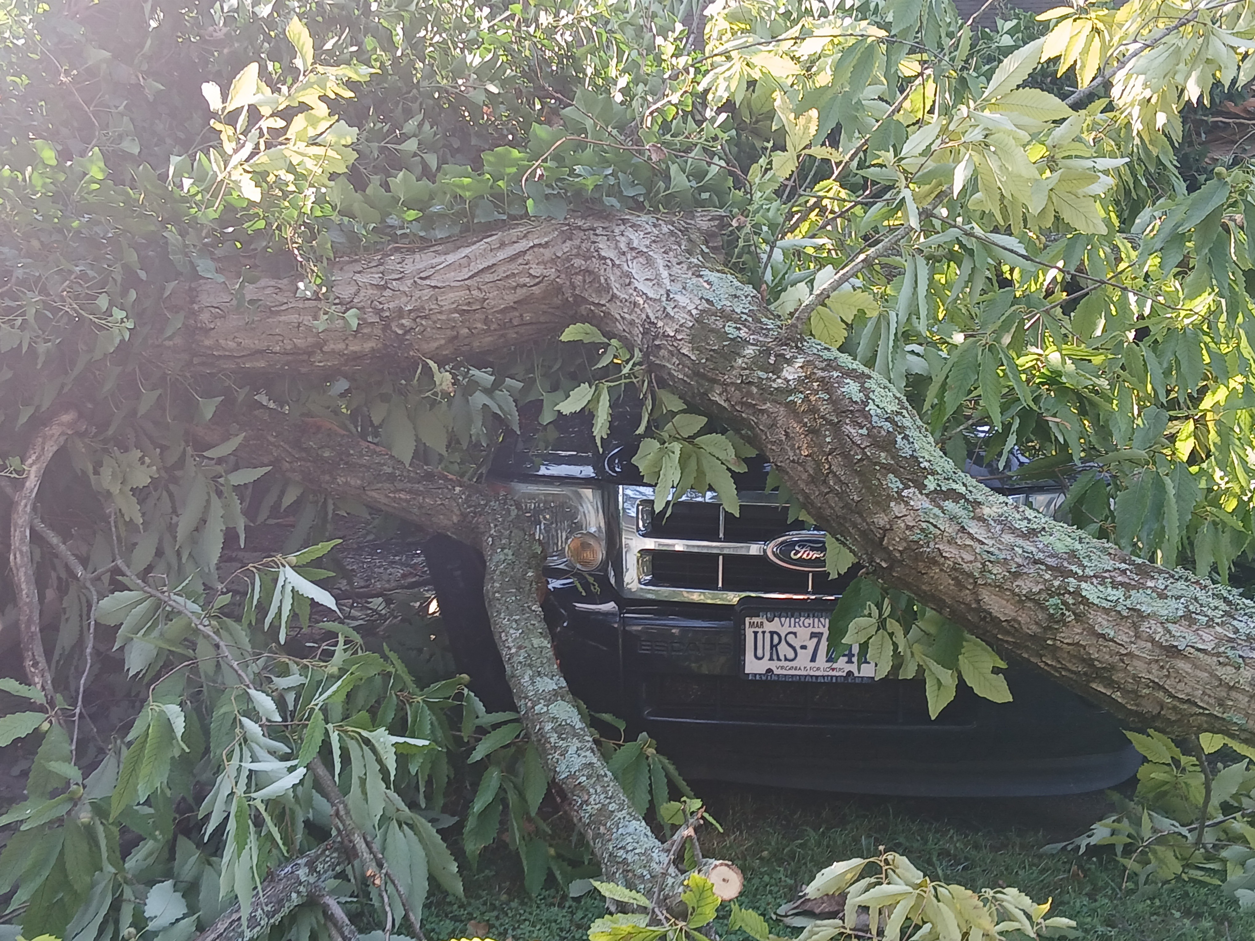 Donate to Help Us Recover from Vehicle Loss campaign photo, 2 of 8