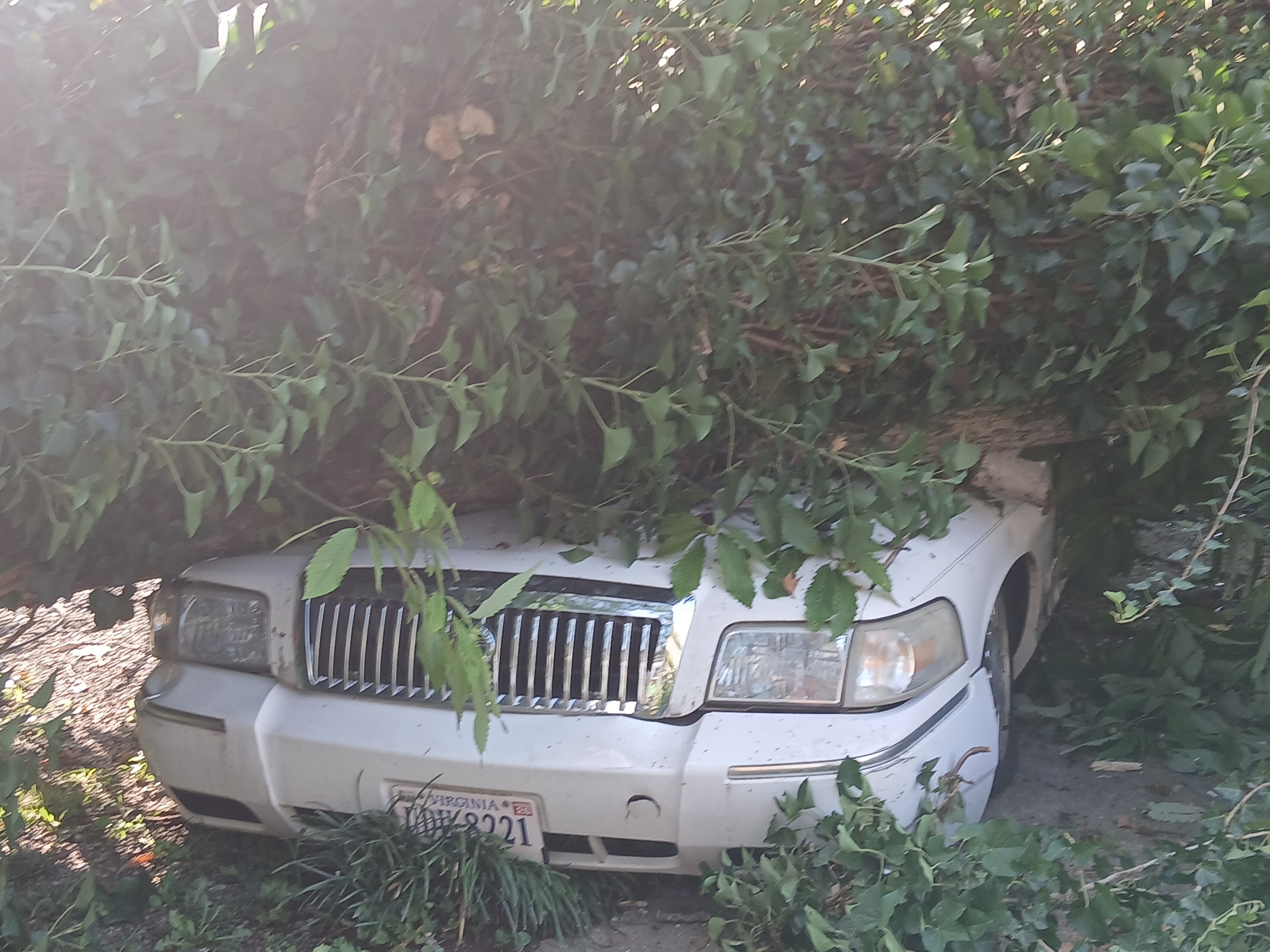 Donate to Help Us Recover from Vehicle Loss campaign photo, 4 of 8