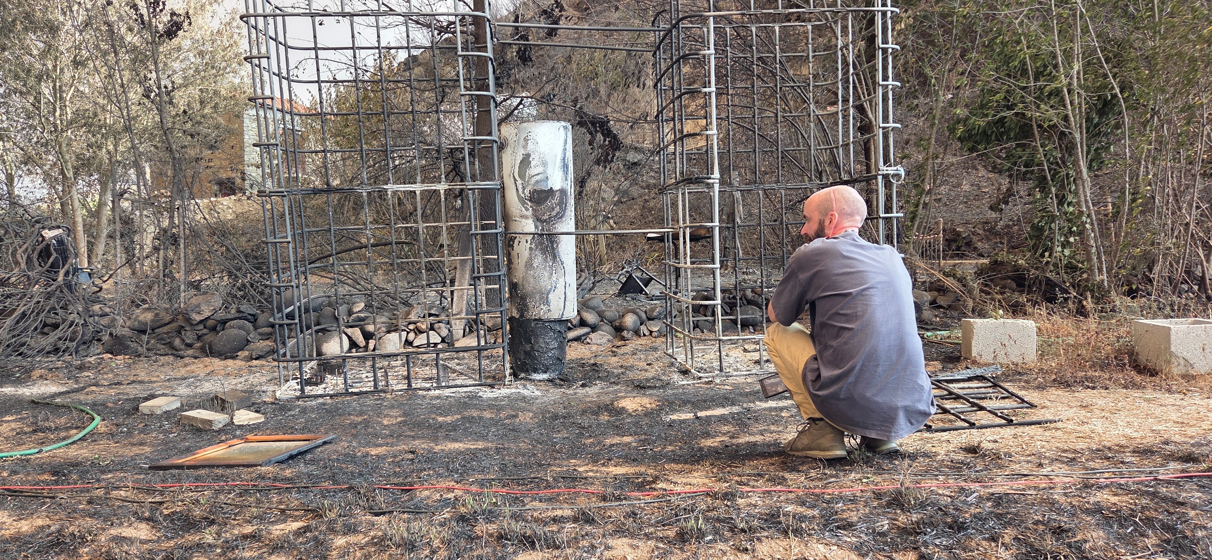Help Recover and Reforest our project after a wildfire campaign photo, 4 of 8