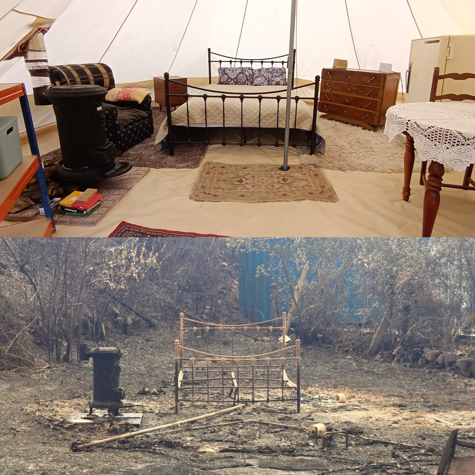 Help Recover and Reforest our project after a wildfire campaign photo, 6 of 8
