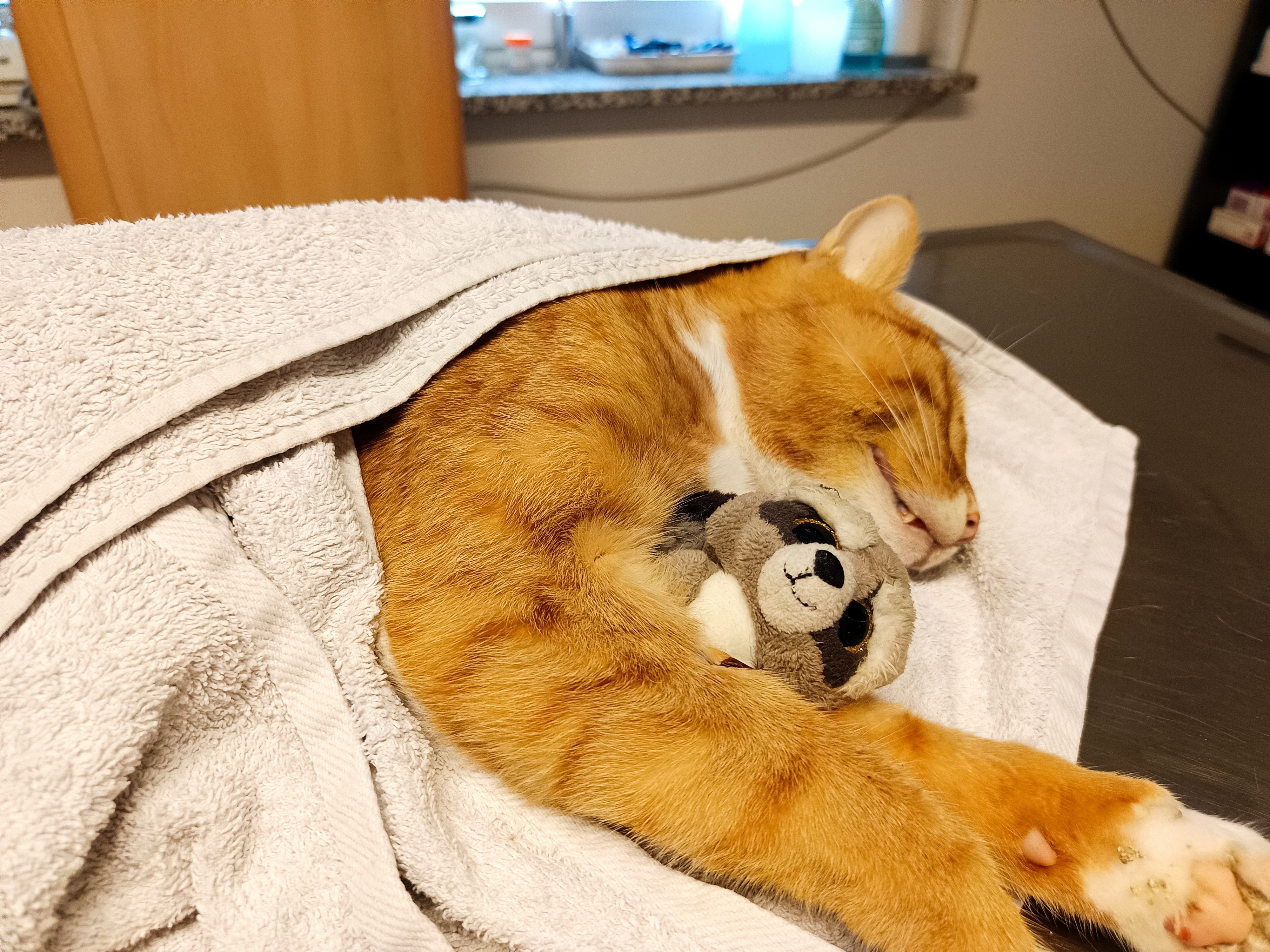 User-uploaded image 1