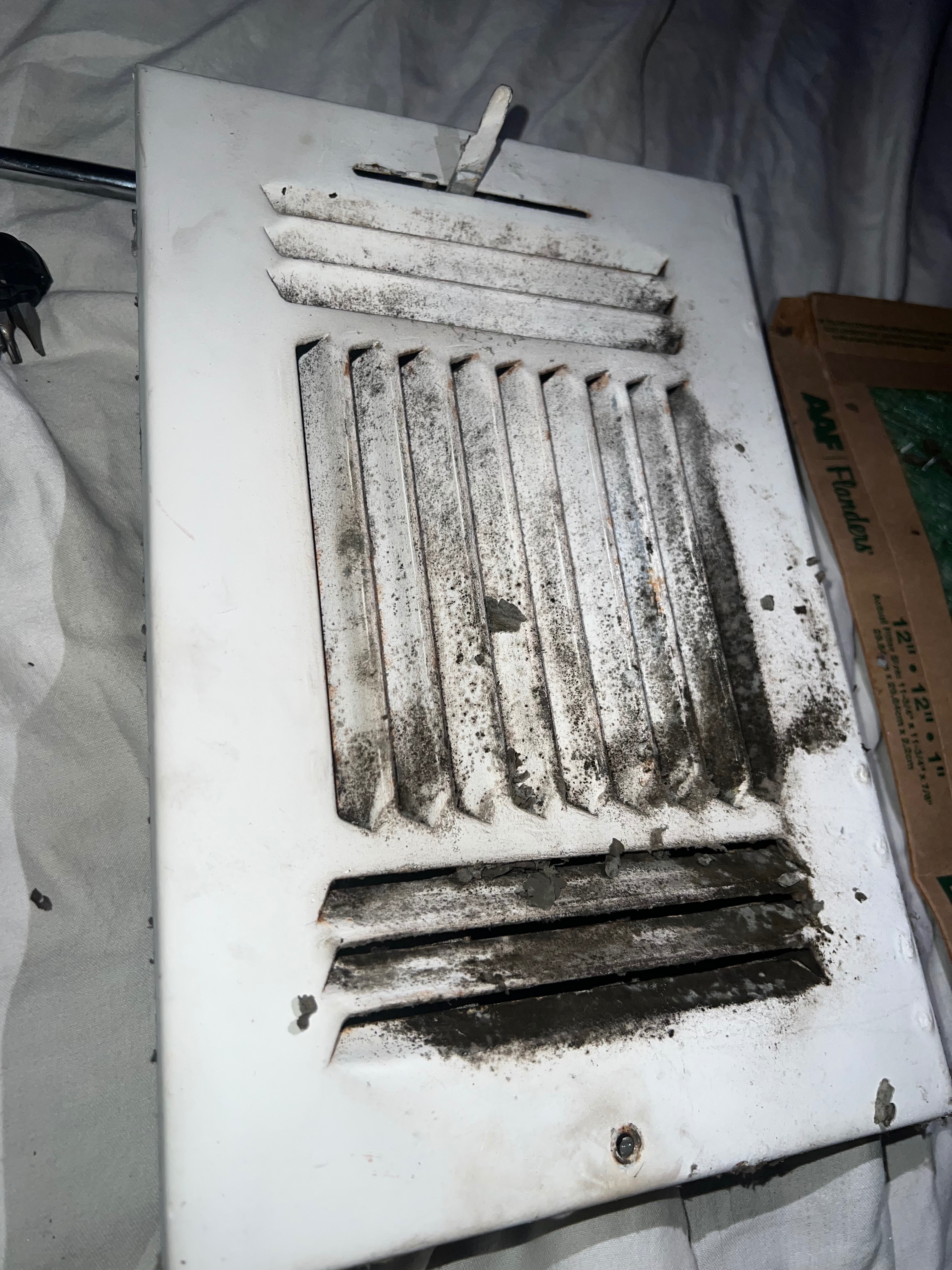 Urgent: Relocate Sierra's Family from Mold campaign photo, 4 of 8