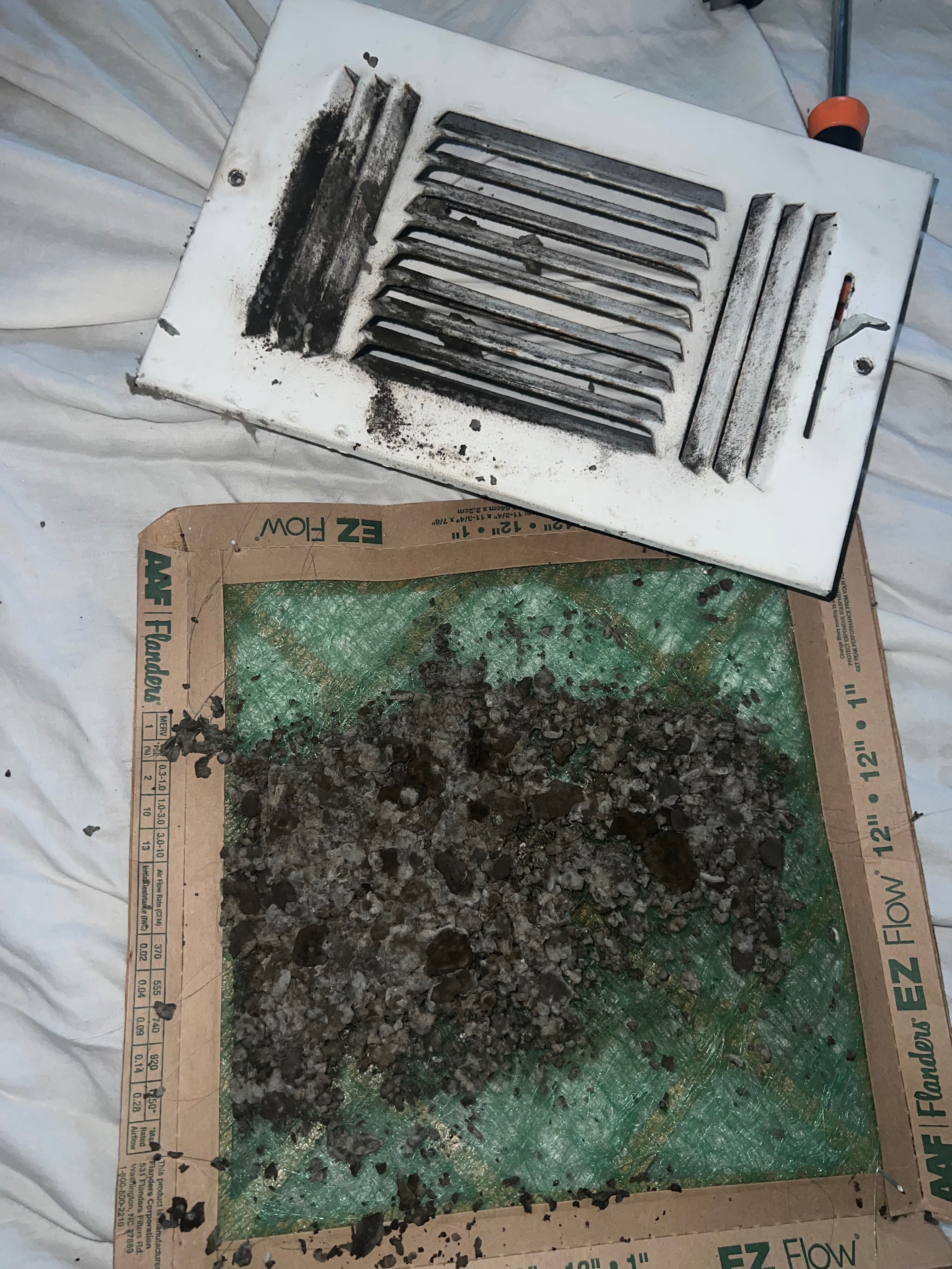Urgent: Relocate Sierra's Family from Mold campaign photo, 5 of 8
