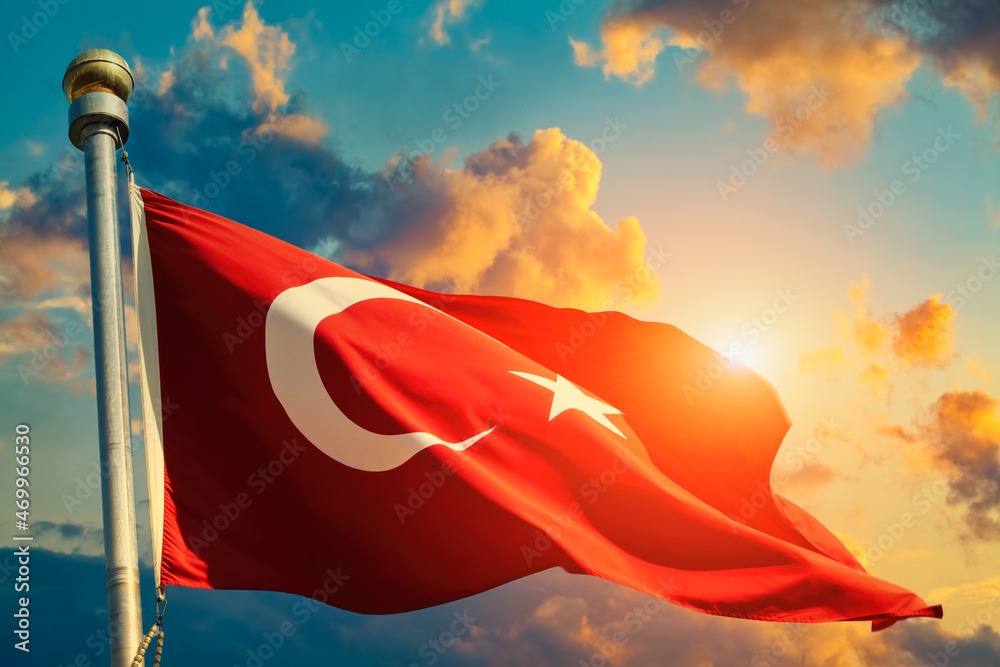 Help Get Grace to Turkey campaign photo, 4 of 5