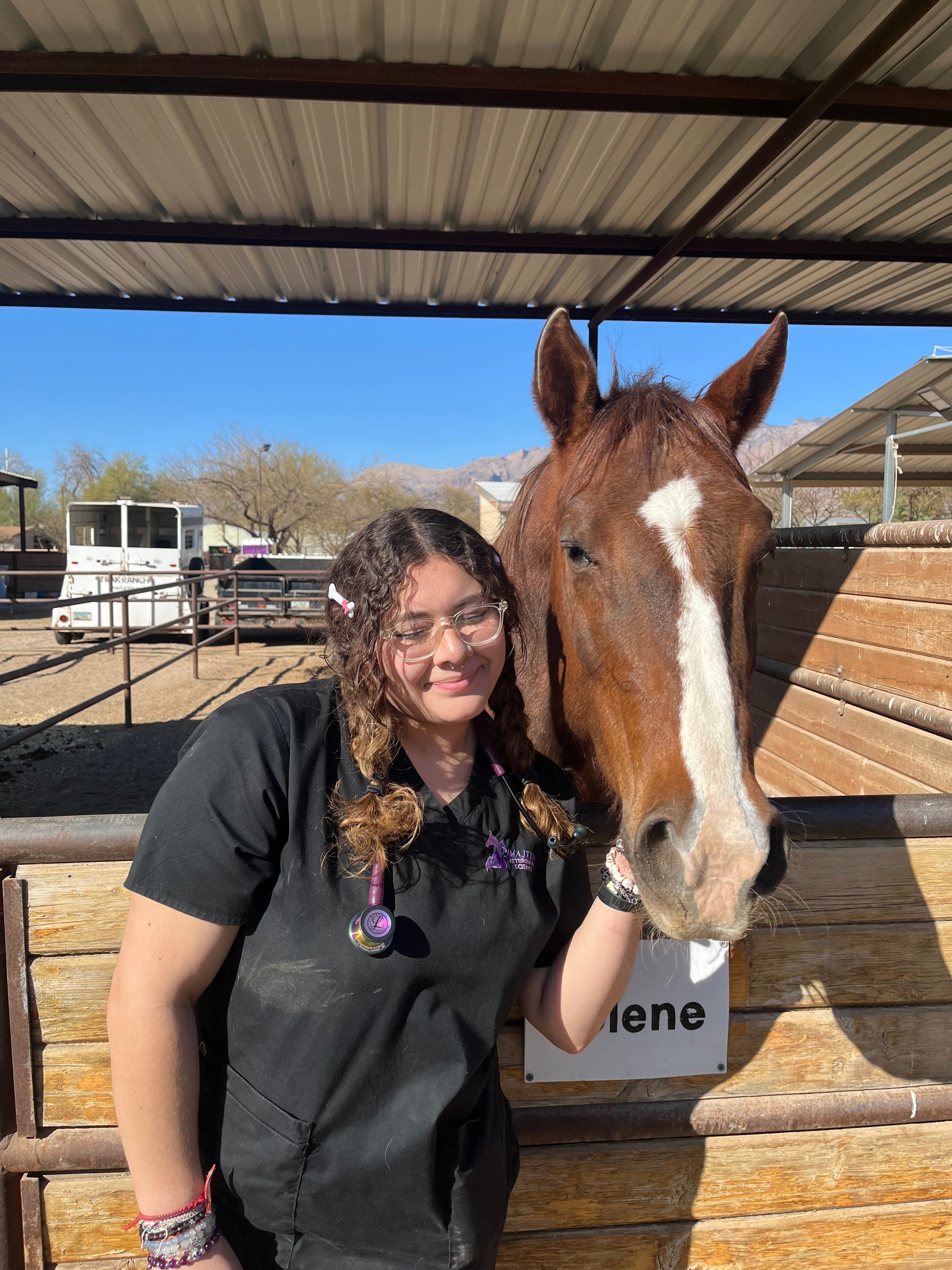 Help Fund Kassandra's South Africa Vet Journey campaign photo, 4 of 8