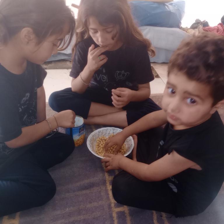 Help Ali and his family to survive in Gaza. campaign photo, 2 of 8