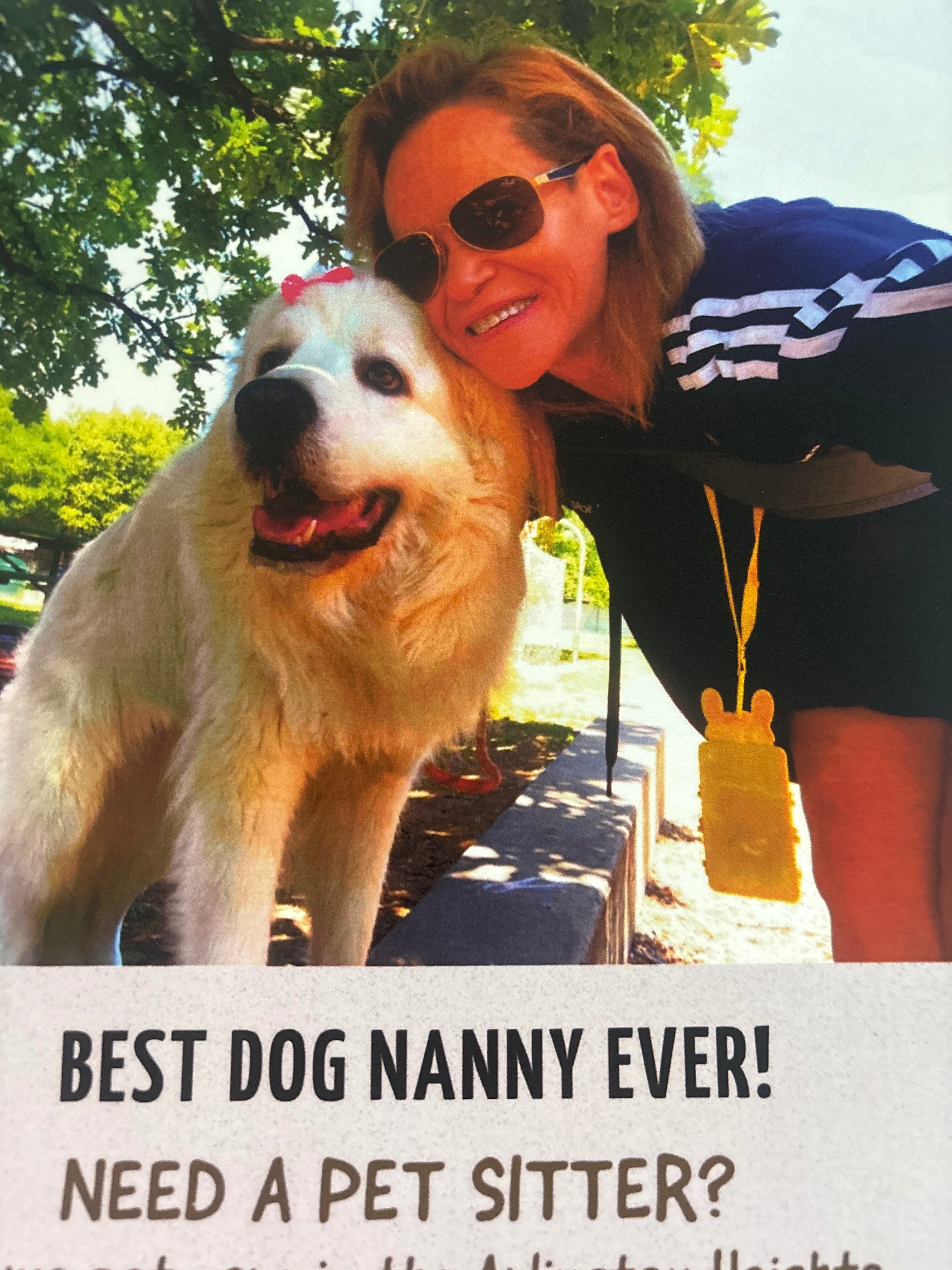 Paws for a Cause: Rescue Best Dog Nanny from Eviction! campaign photo, 6 of 7