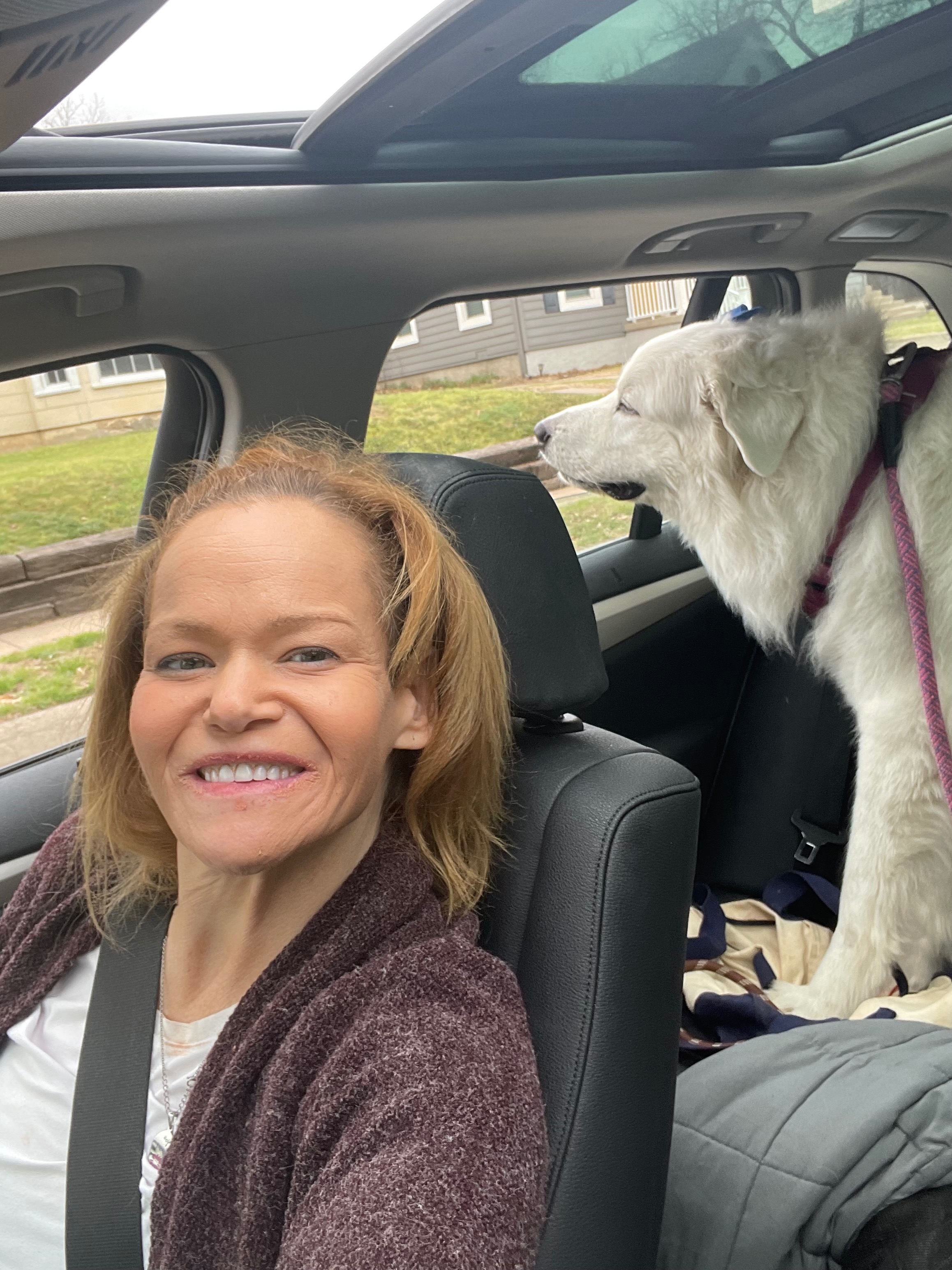 Paws for a Cause: Rescue Best Dog Nanny from Eviction! campaign photo, 2 of 7