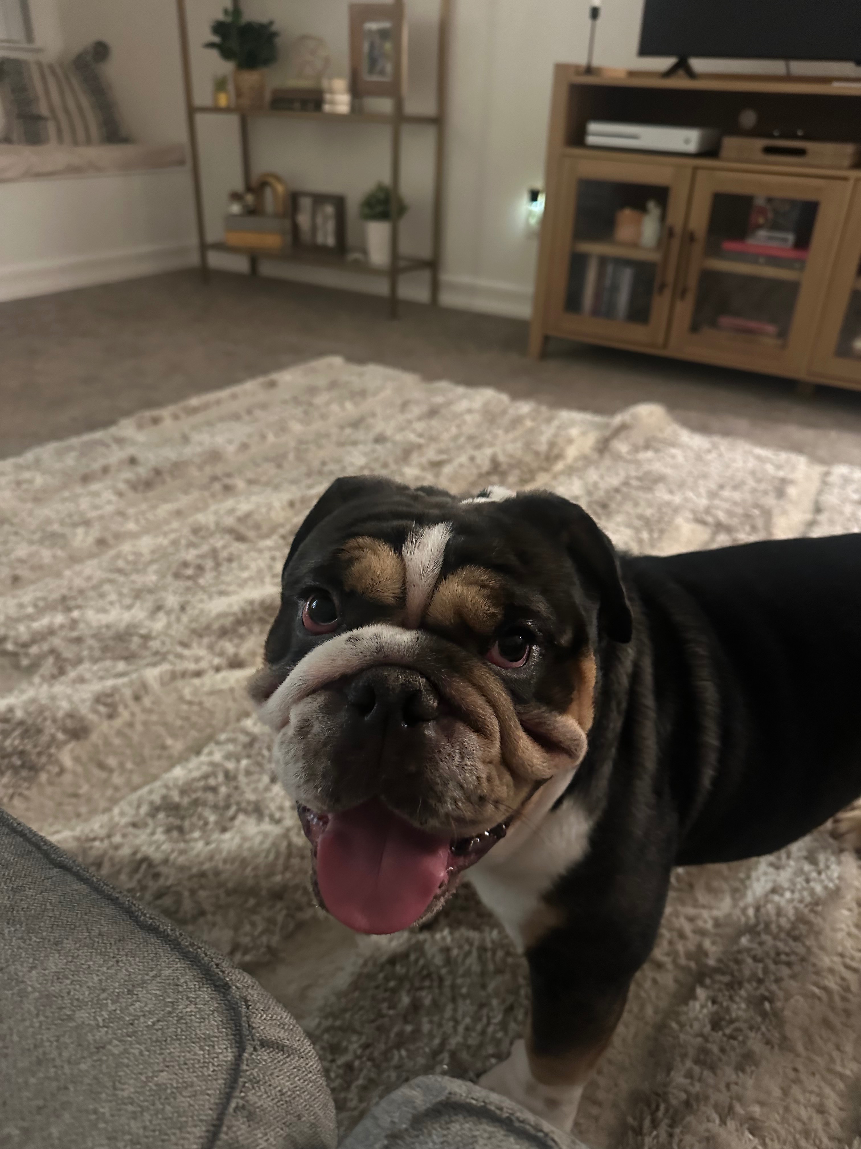 User-uploaded image 1